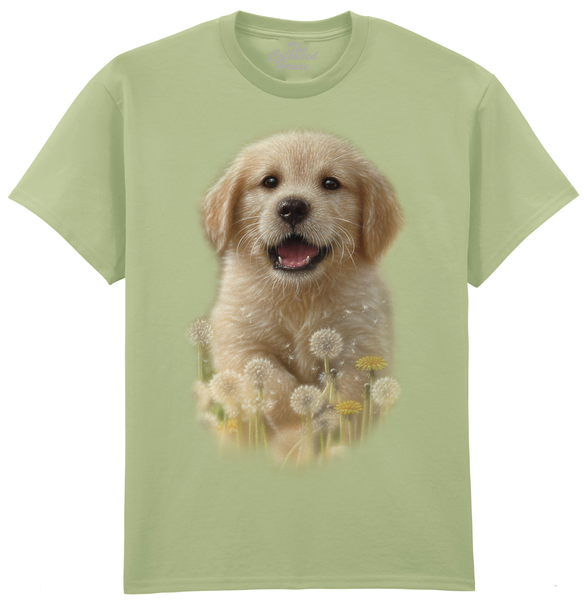 Dandelions - Golden Pup