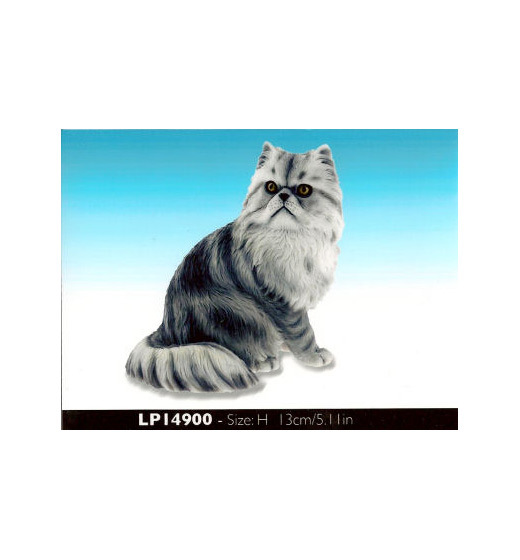 Pers Tabby
