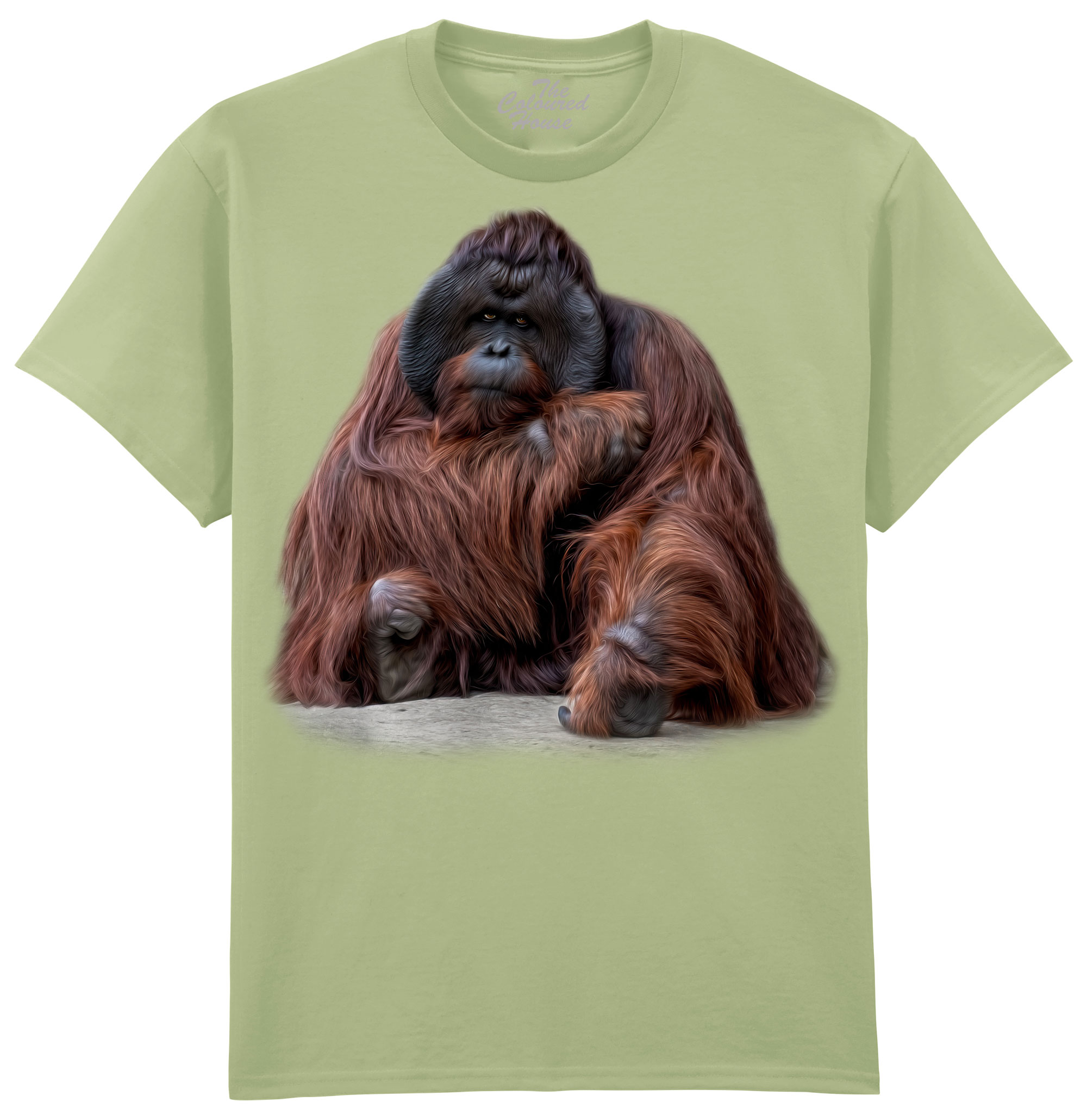 Wisdom Beyond Words - Orangutan