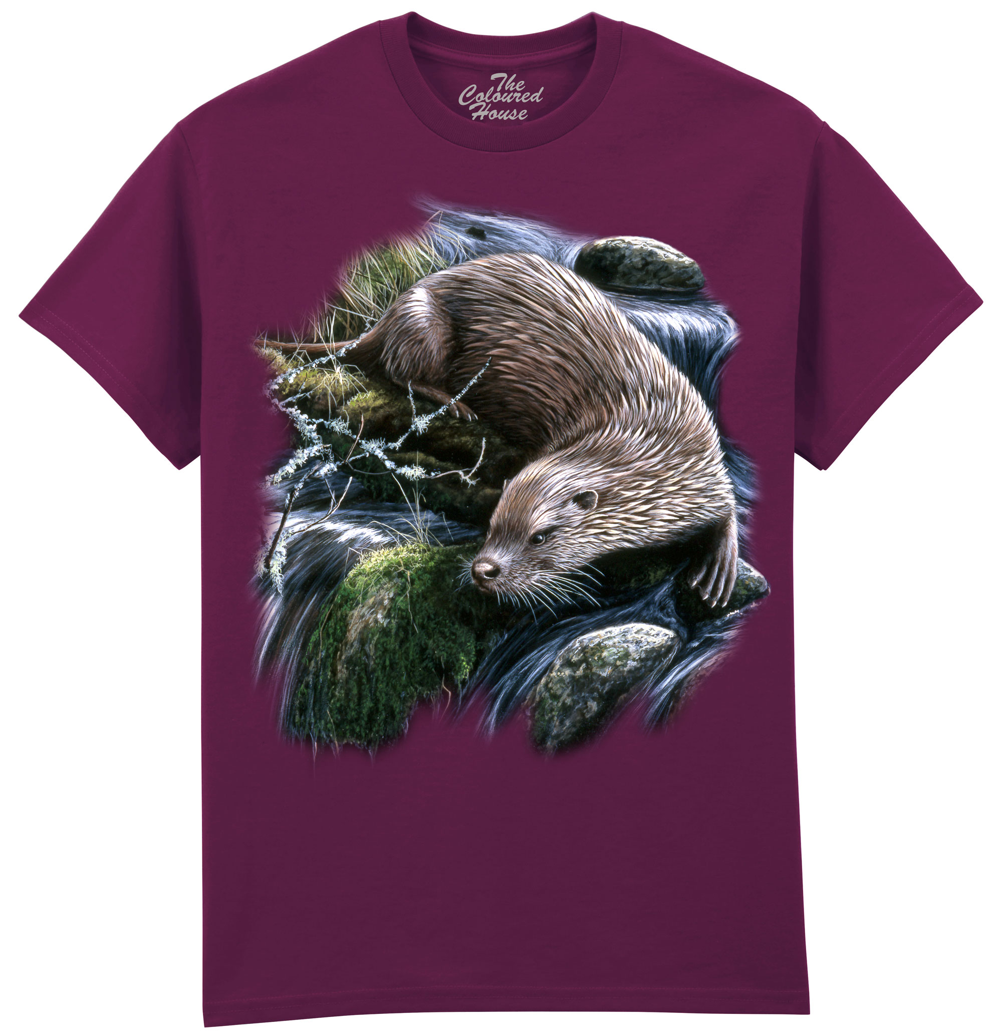 Exploring Otter Exploring Otter