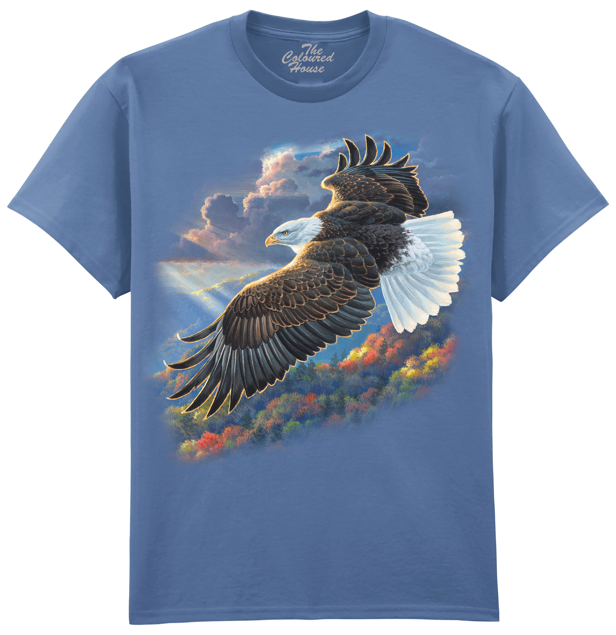 Freedom - Bald Eagle