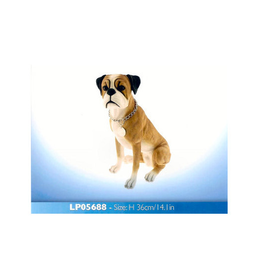 Boxer LP5688