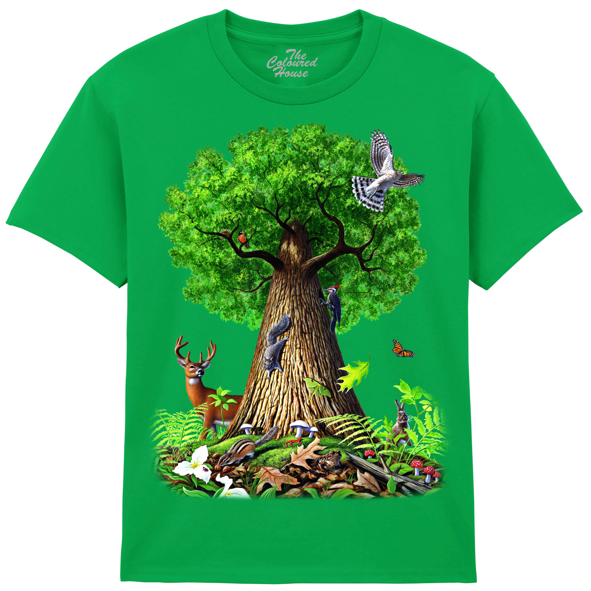 Tree Of Life Animals KIDS