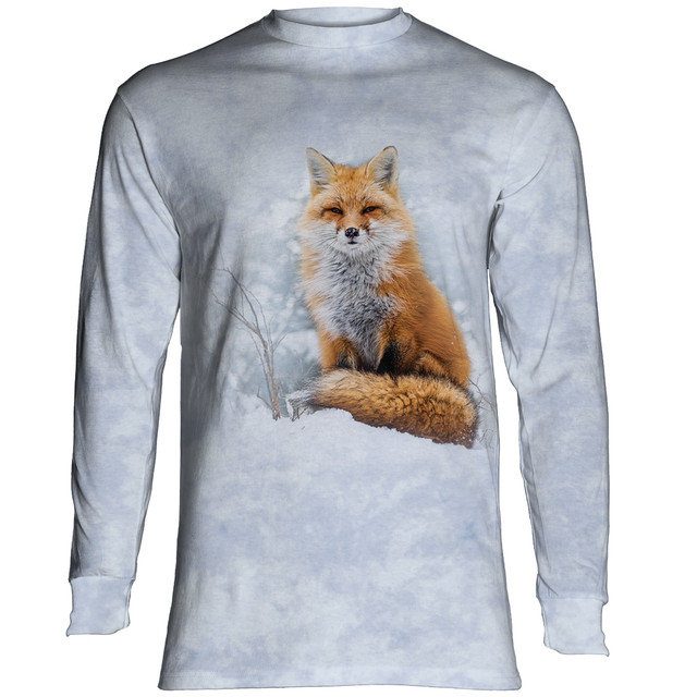 Red Fox In Winter