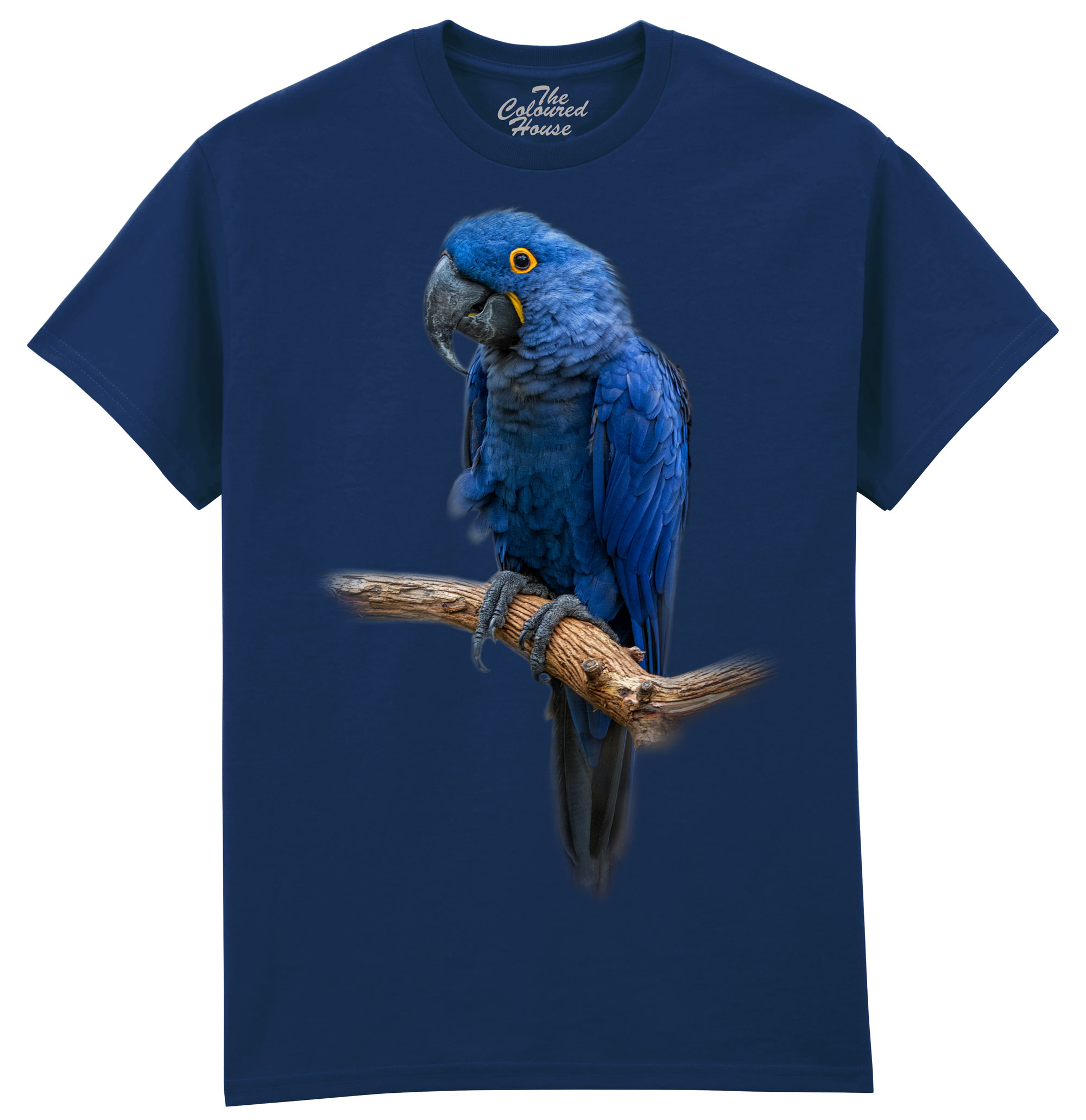 Blue Gem - Macaw