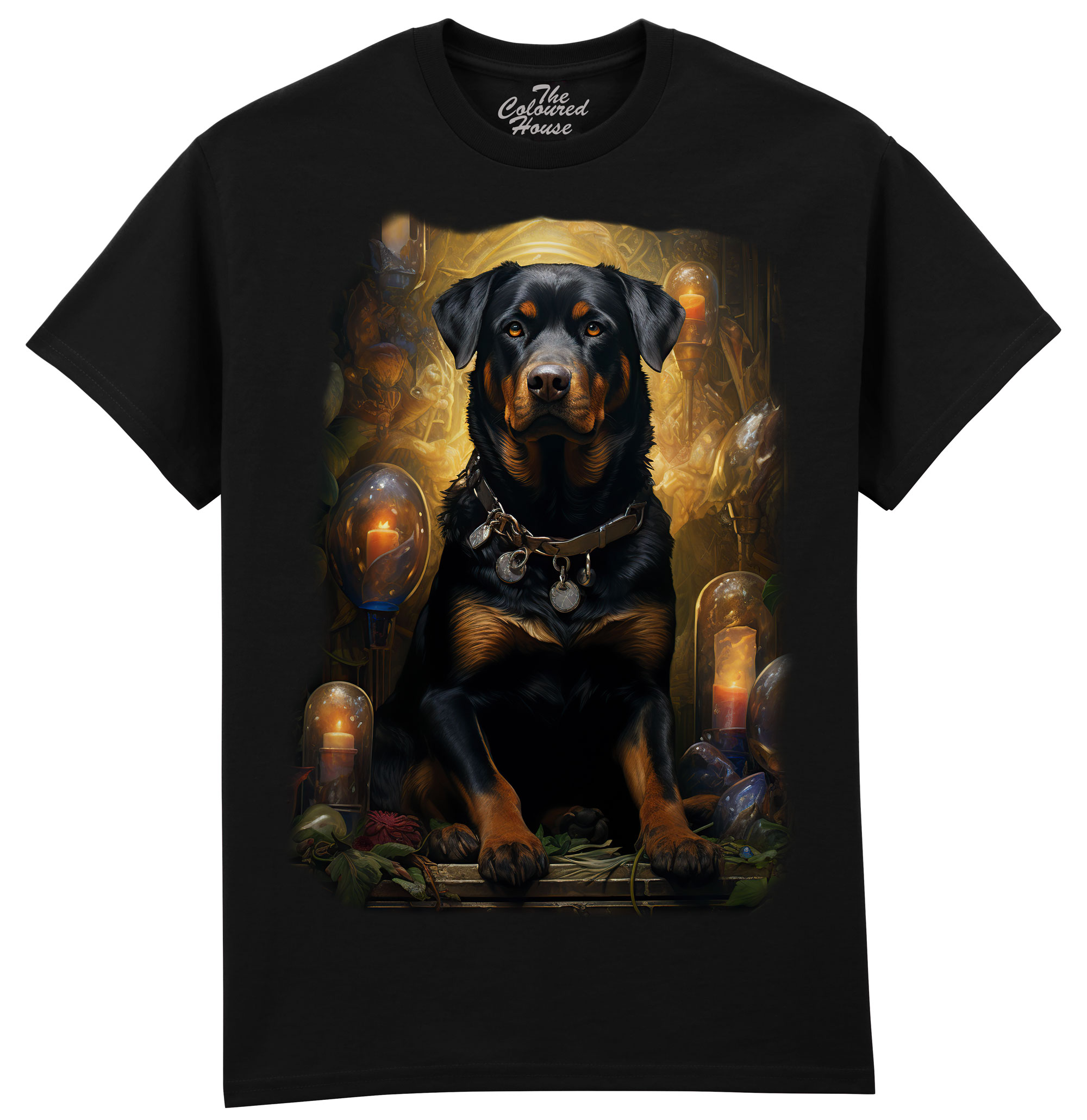 Rottweiler Portrait