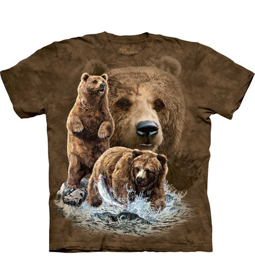 Find 10 Brown Bears