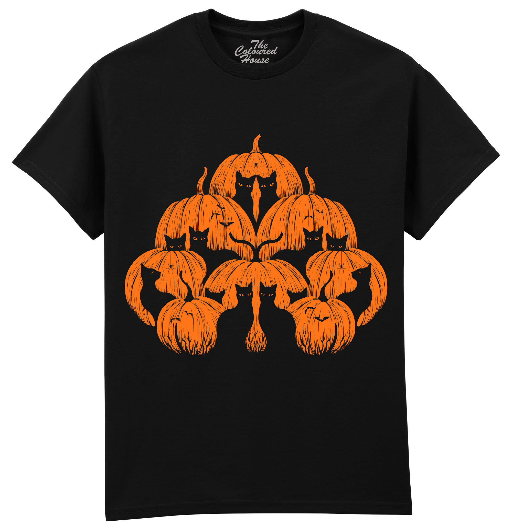 Pumpkin Cat
