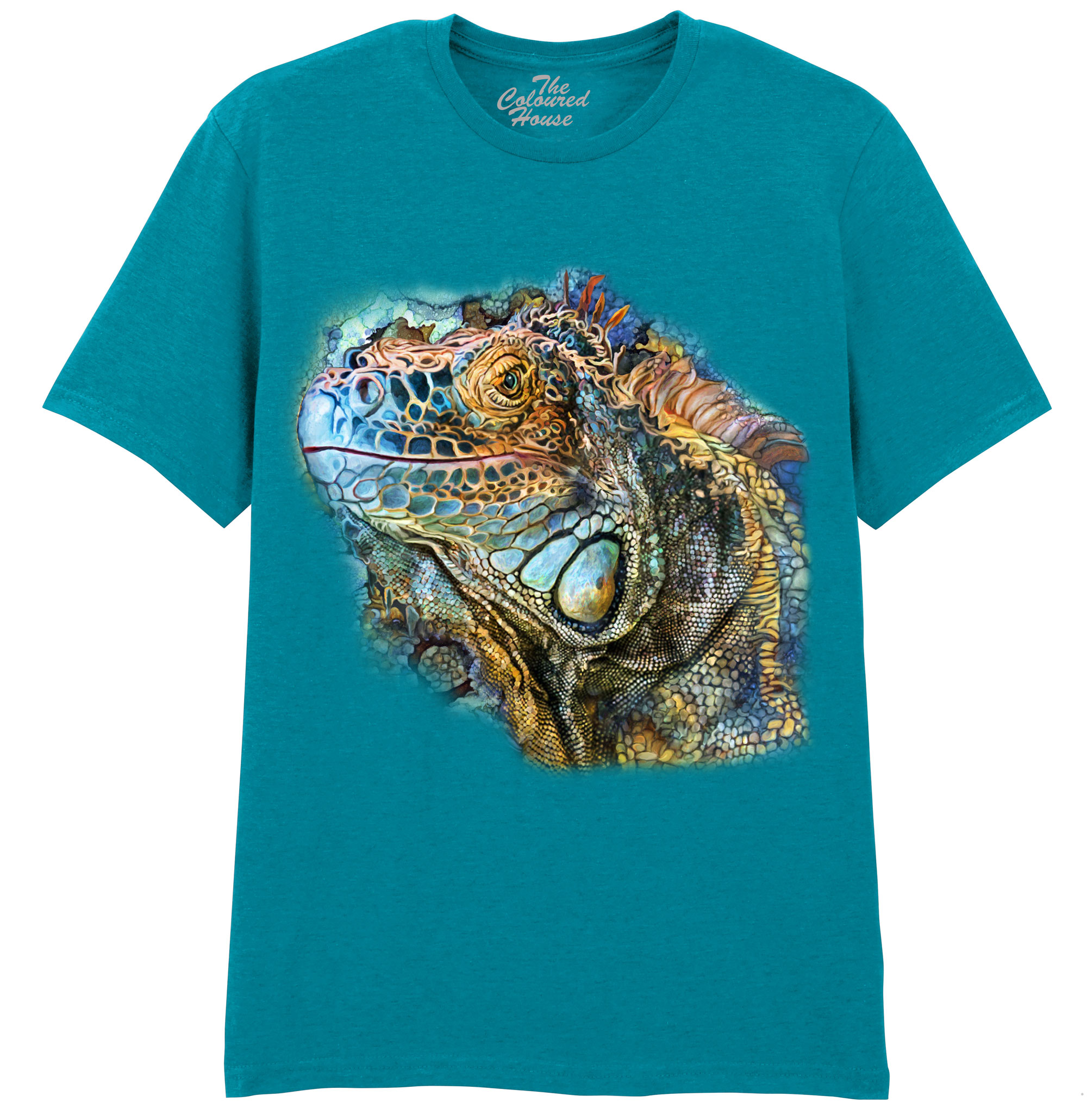 Iguana Spirit Of Contentment