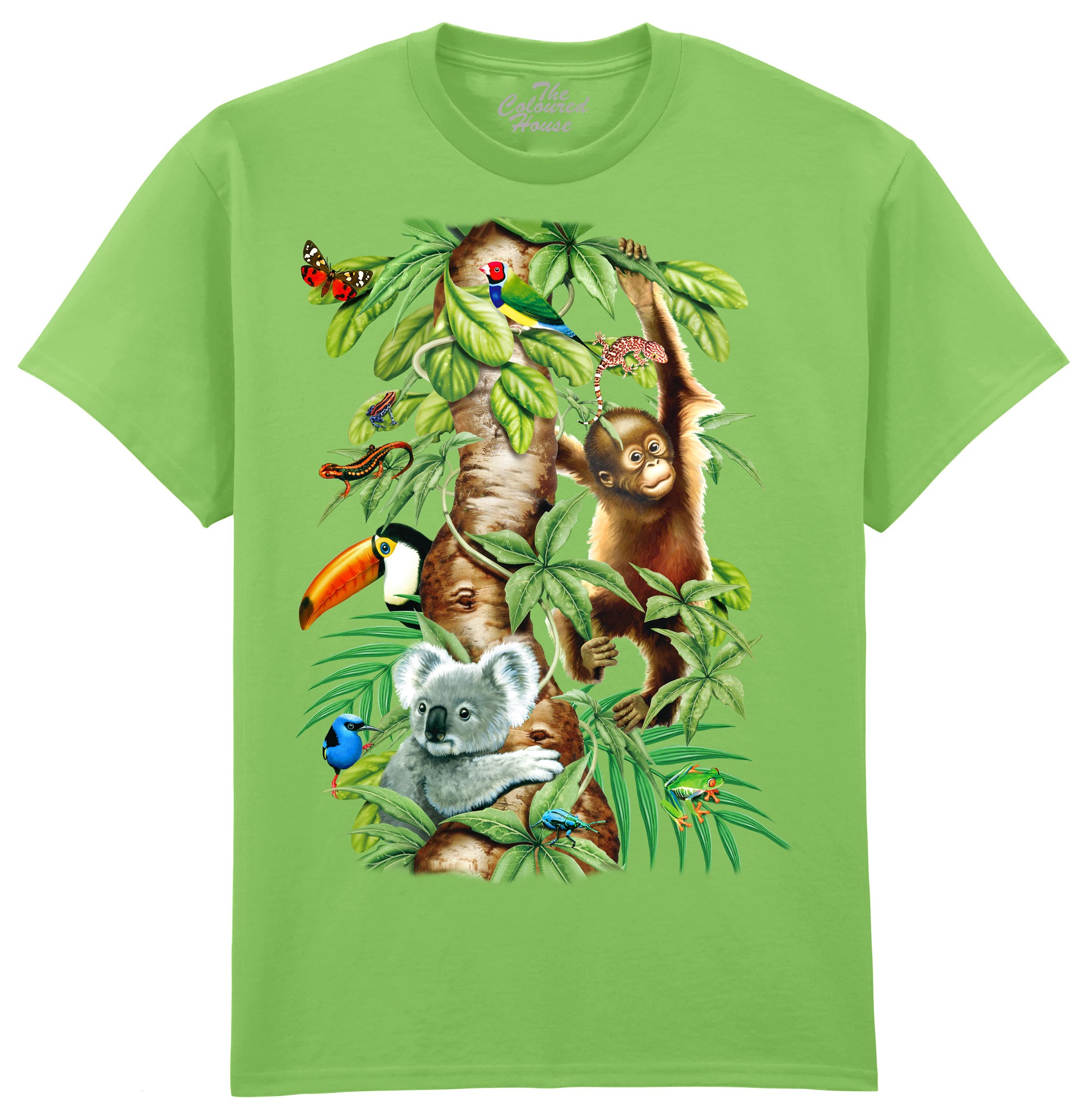 Animals Tree Of Life
