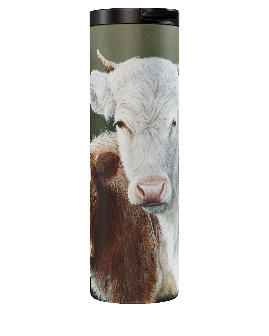 Northern Dairy Shorthorn Tumbler
