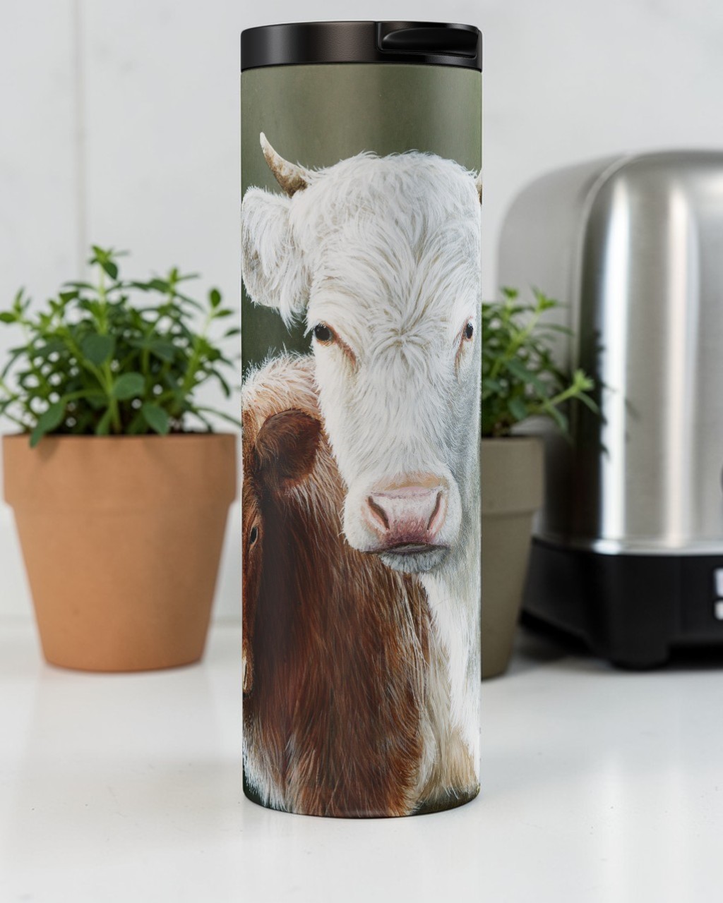Northern Dairy Shorthorn Tumbler