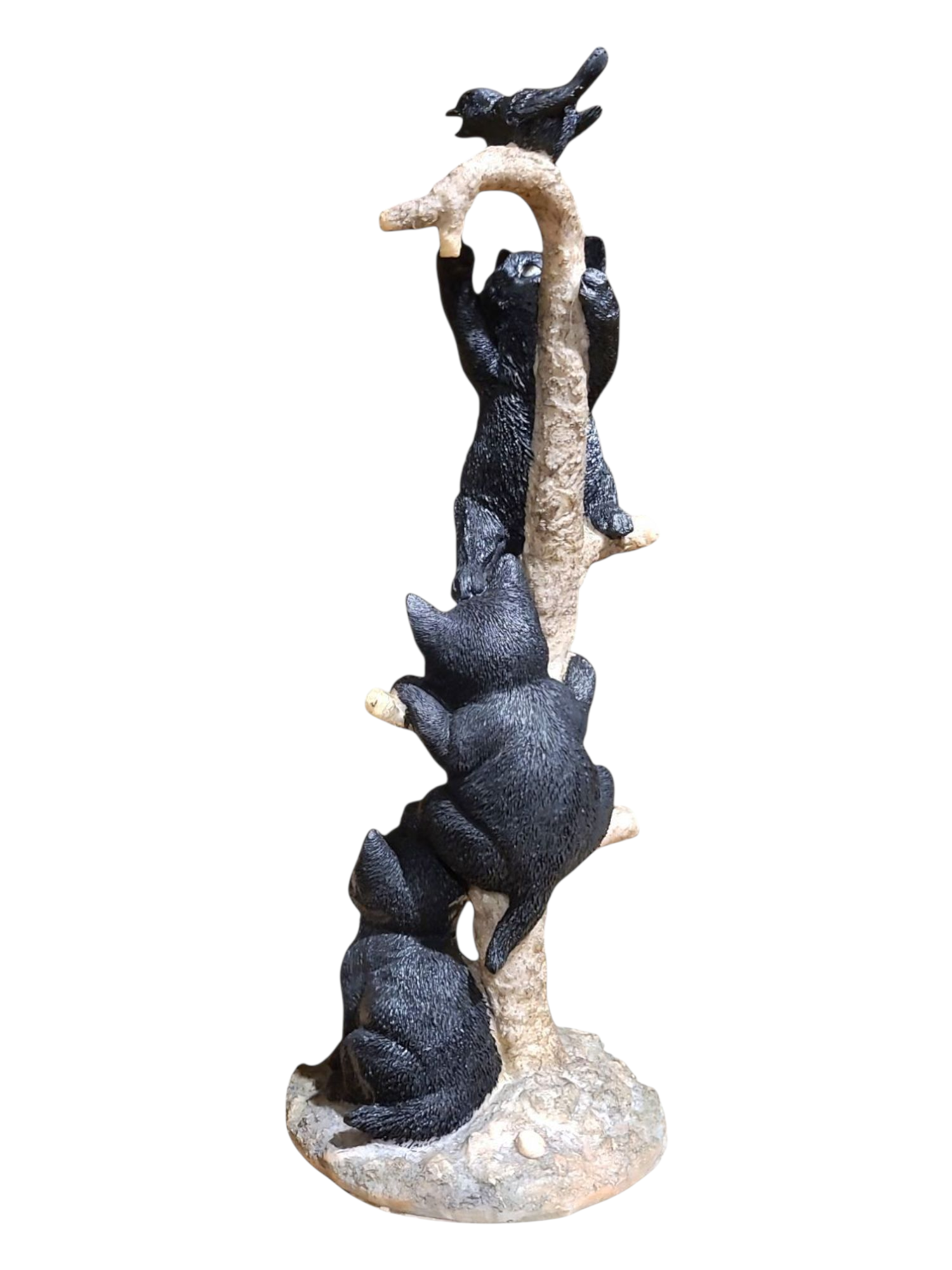 Black Cats Climbing
