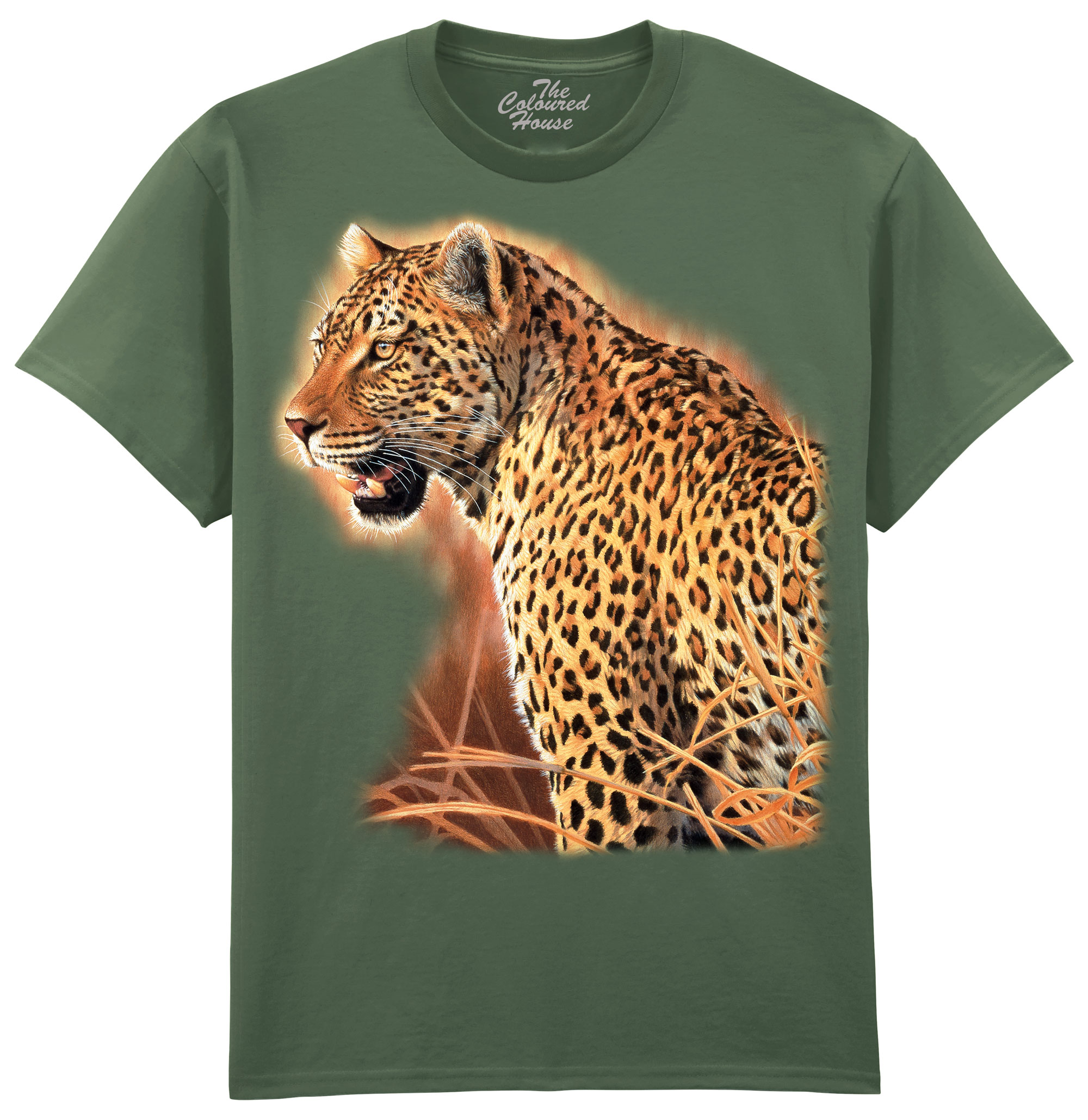 Brave Leopard