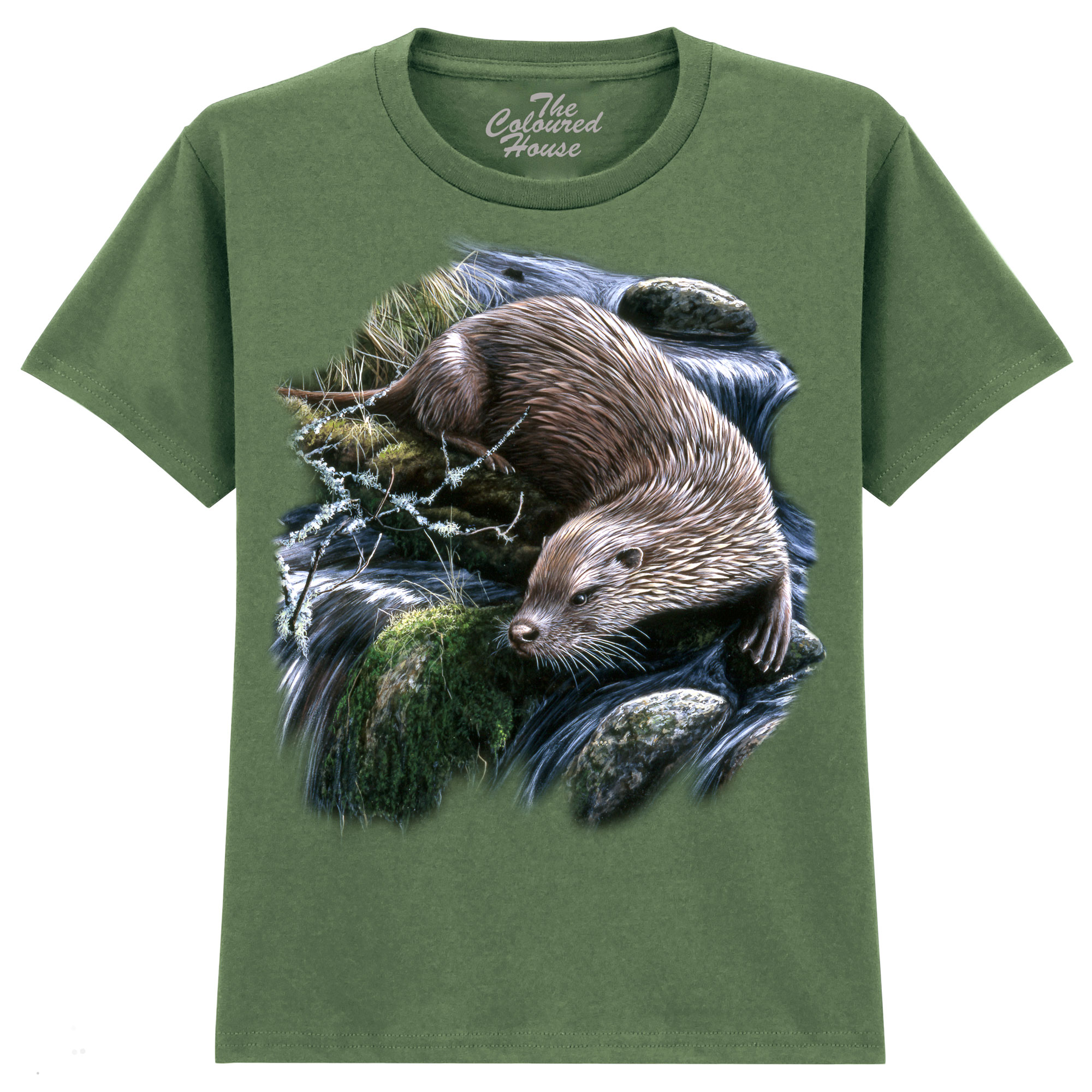 Exploring Otter KIDS