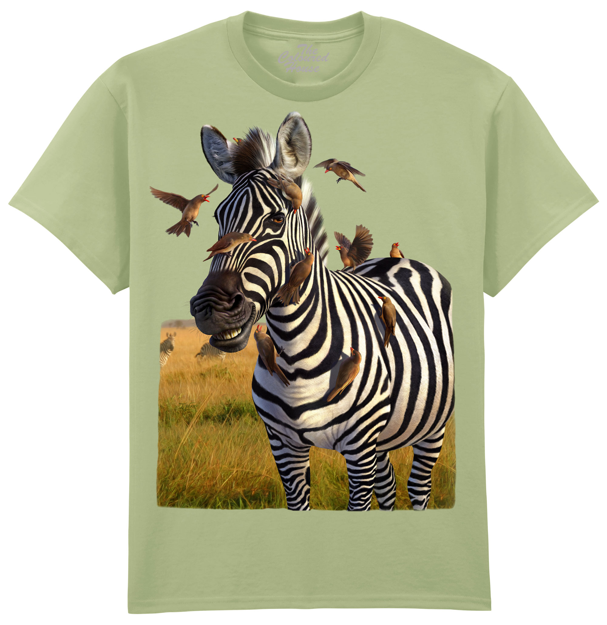 Jailbird - Zebra Jailbird - Zebra