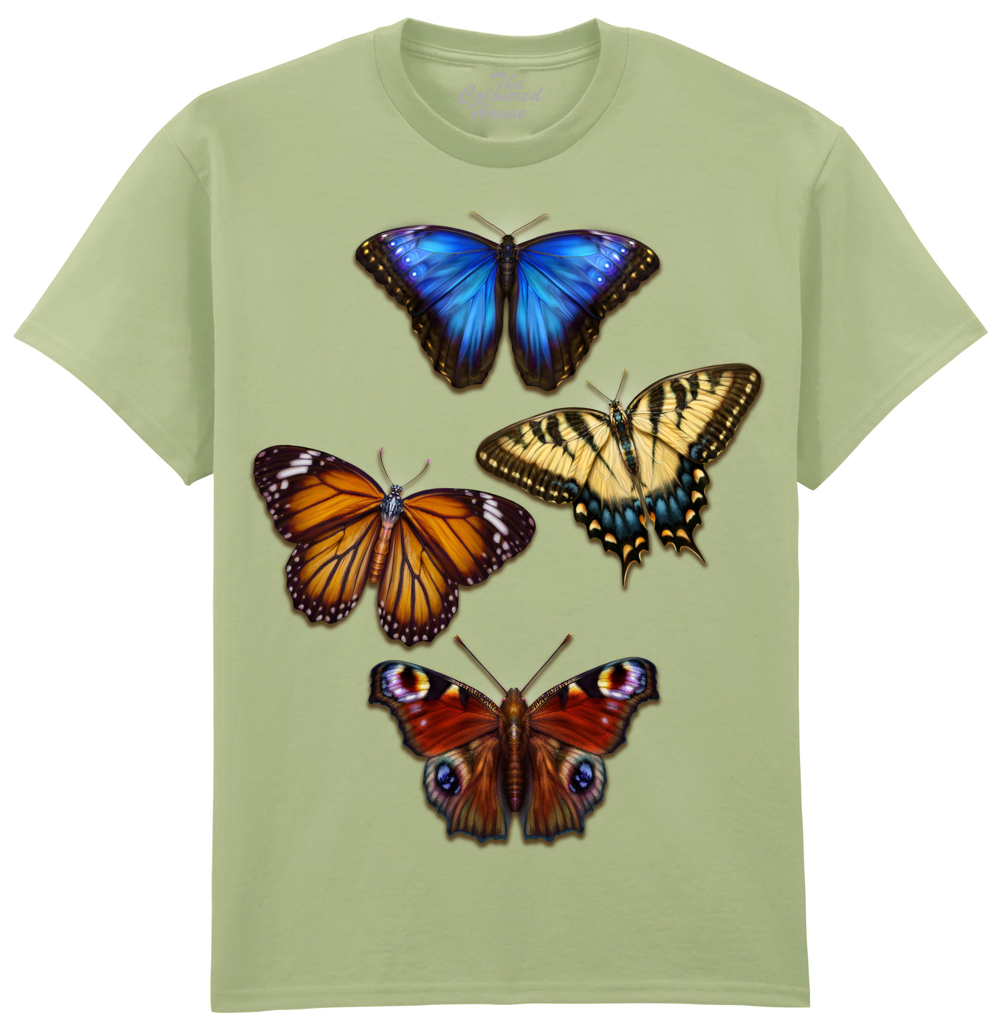 4 Butterflies