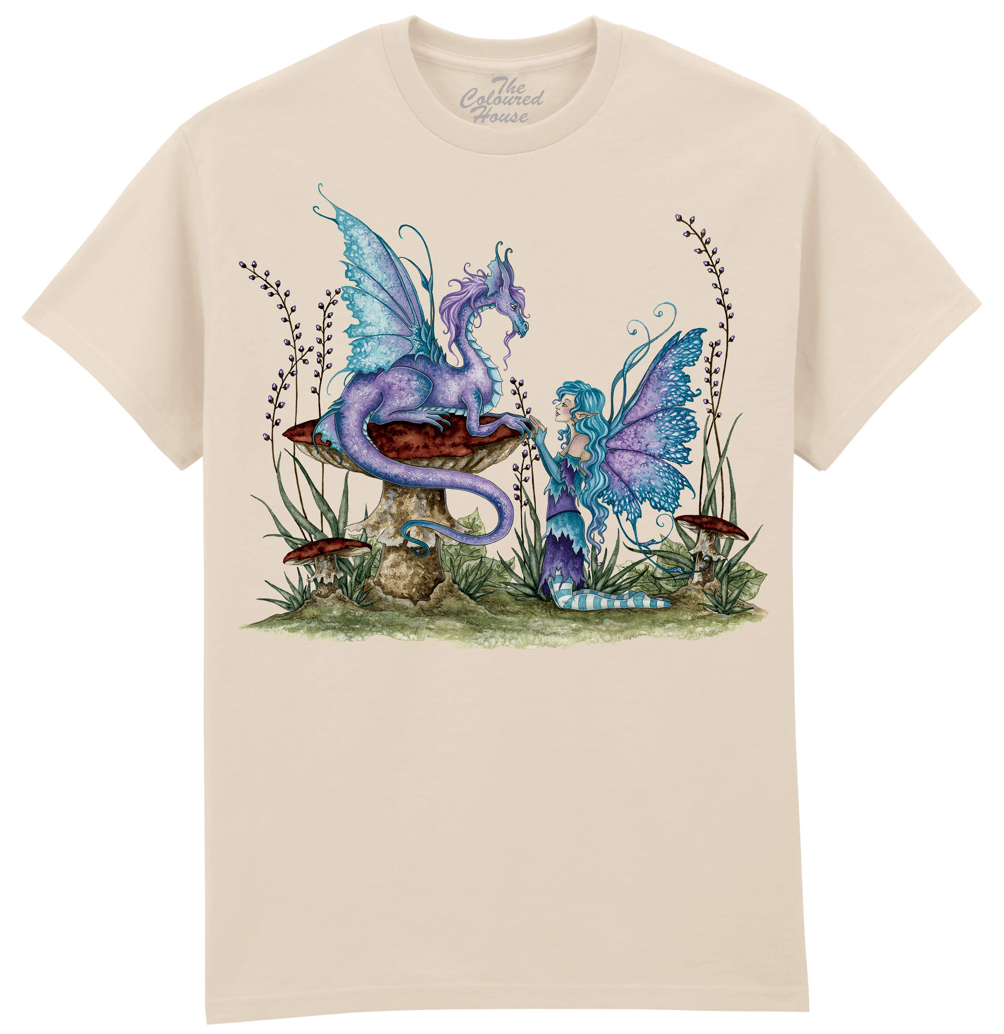 Companions - Fairy and Dragon