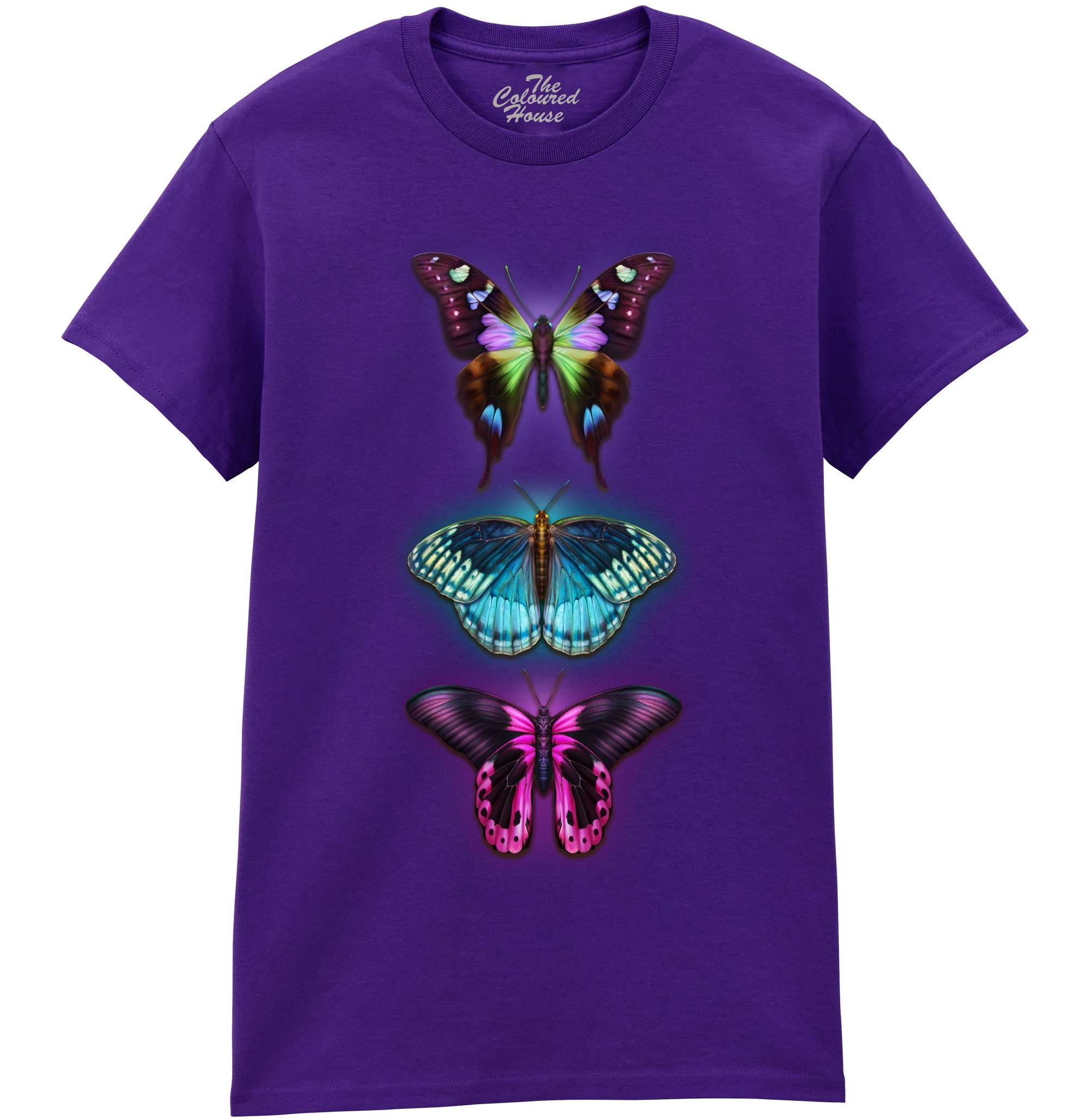 3 Colorful Butterflies