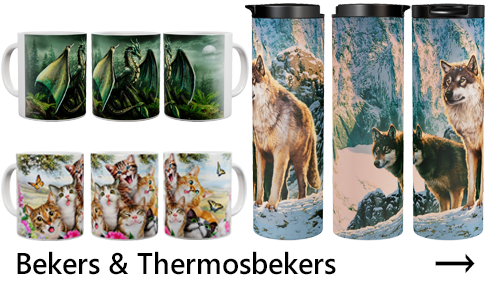Bekers en thermosbekers