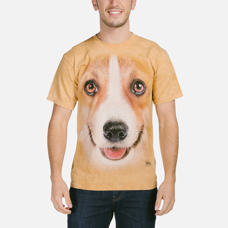 Corgi Face