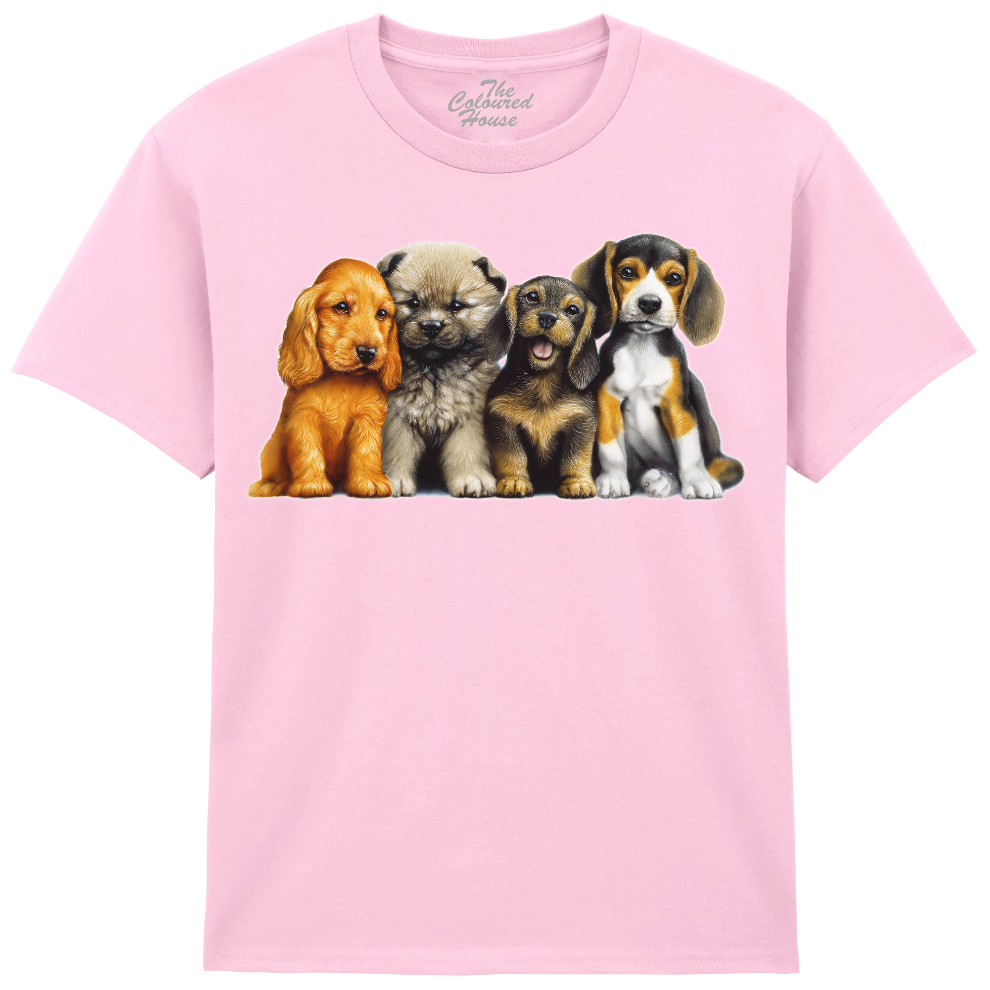 Young Dogs KIDS