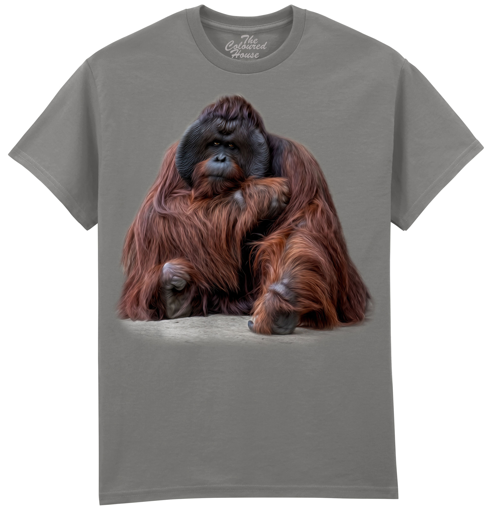 Wisdom Beyond Words - Orangutan