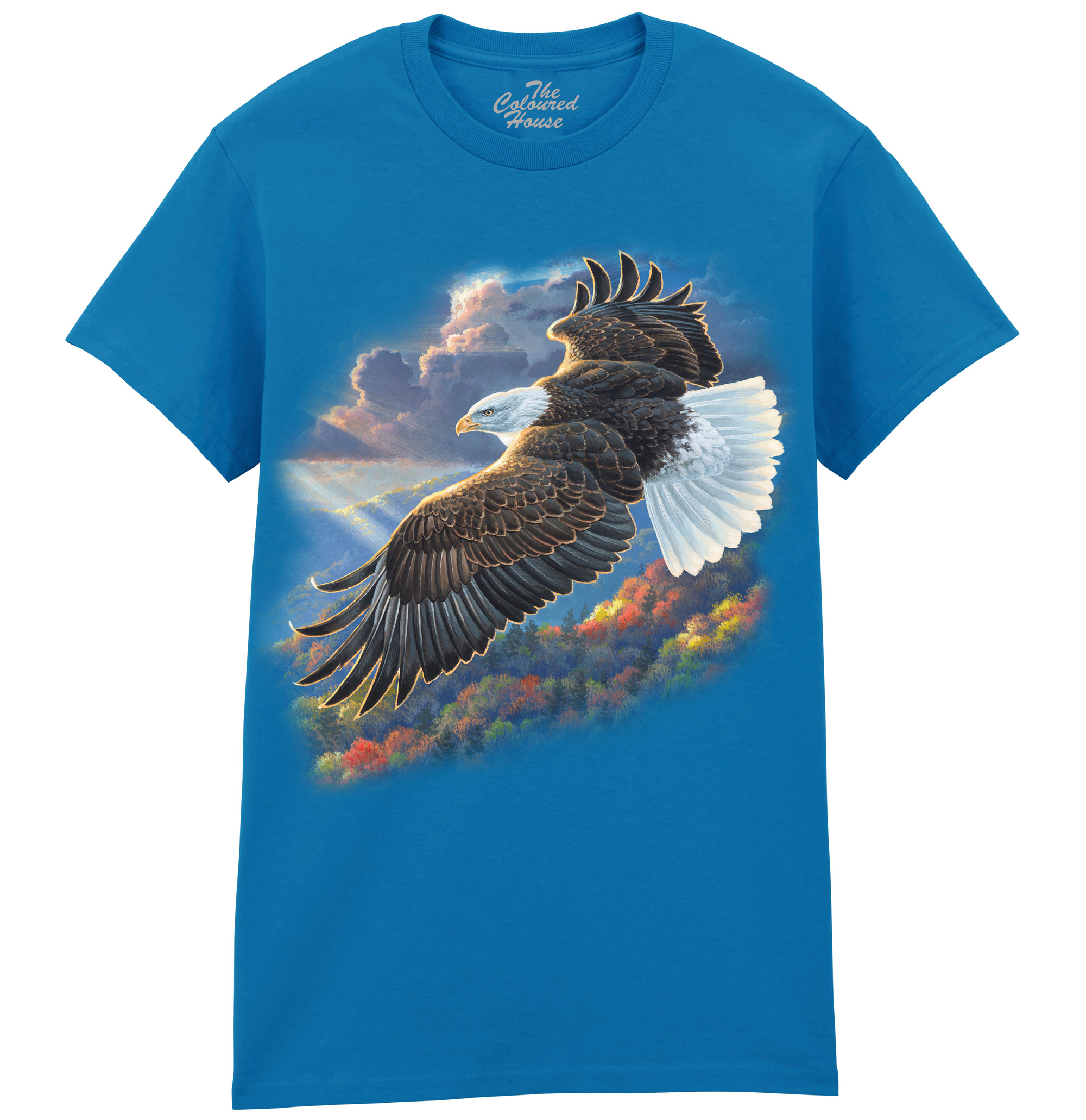 Freedom - Bald Eagle
