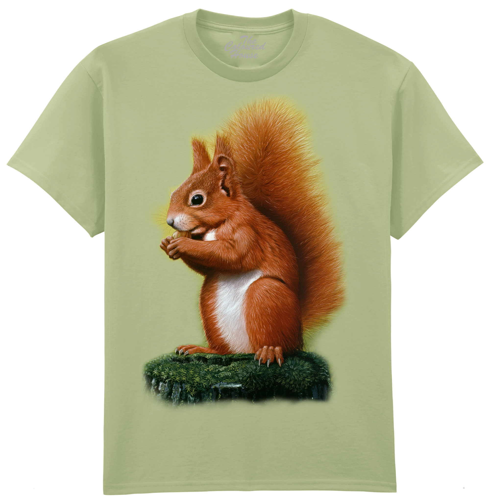 Red Squirrel