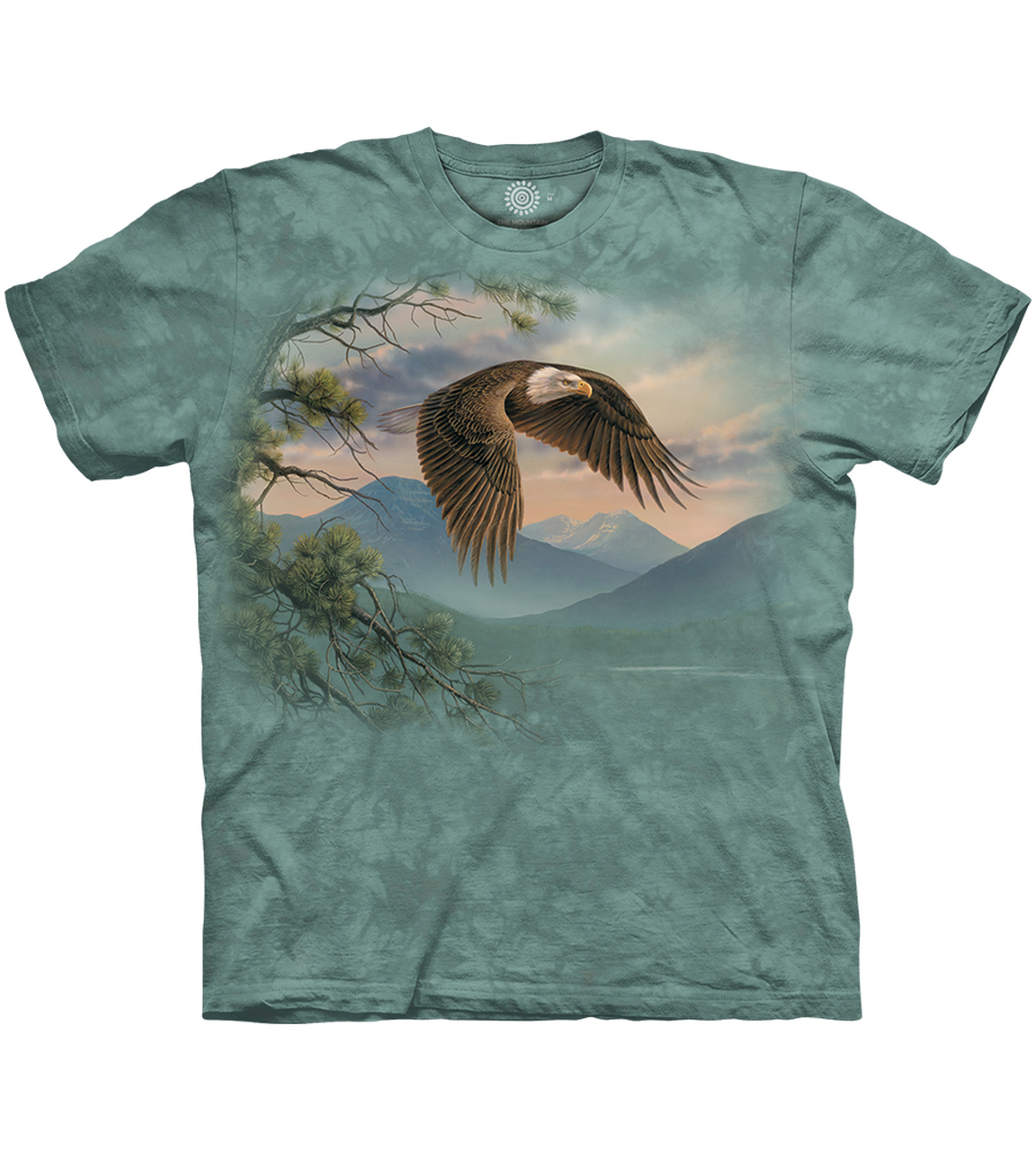 Majestic Moment Eagle
