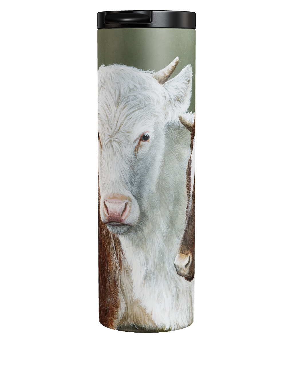 Northern Dairy Shorthorn Tumbler