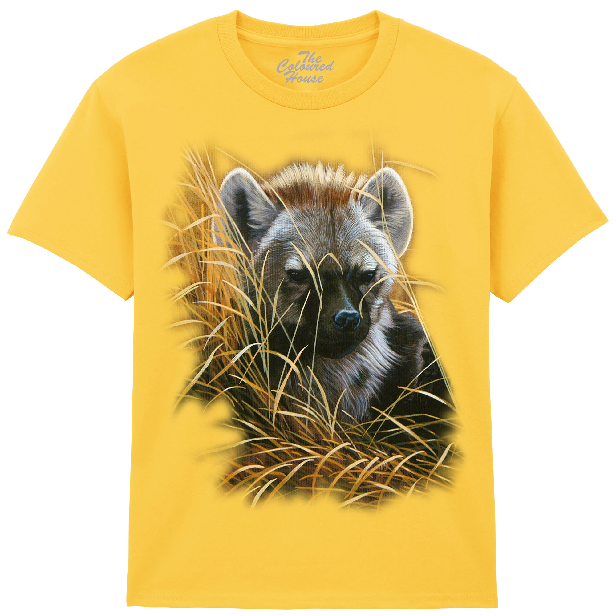 Who Knew - Hyena KIDS