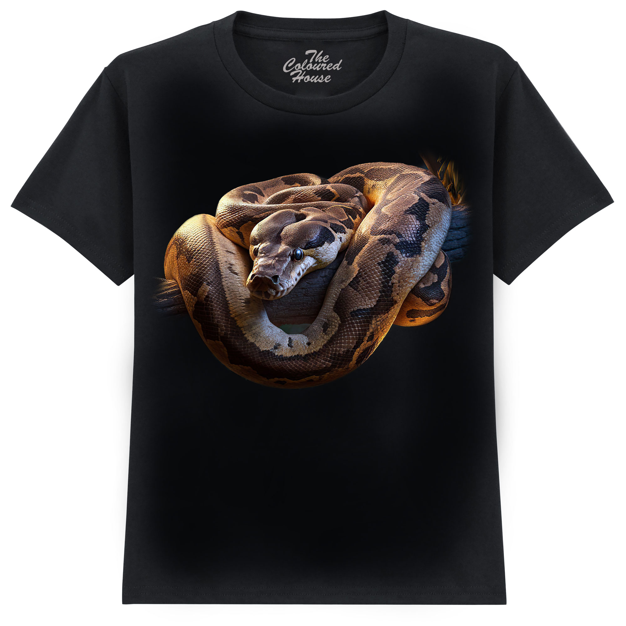 Jungle Snake KIDS Jungle Snake KIDS