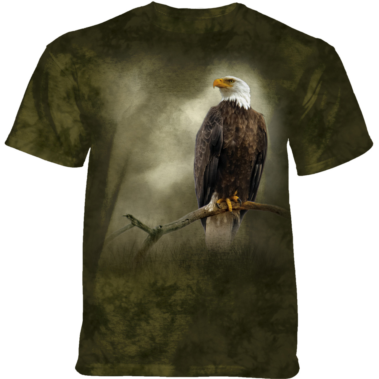 A Visitor to the Meadow Eagle