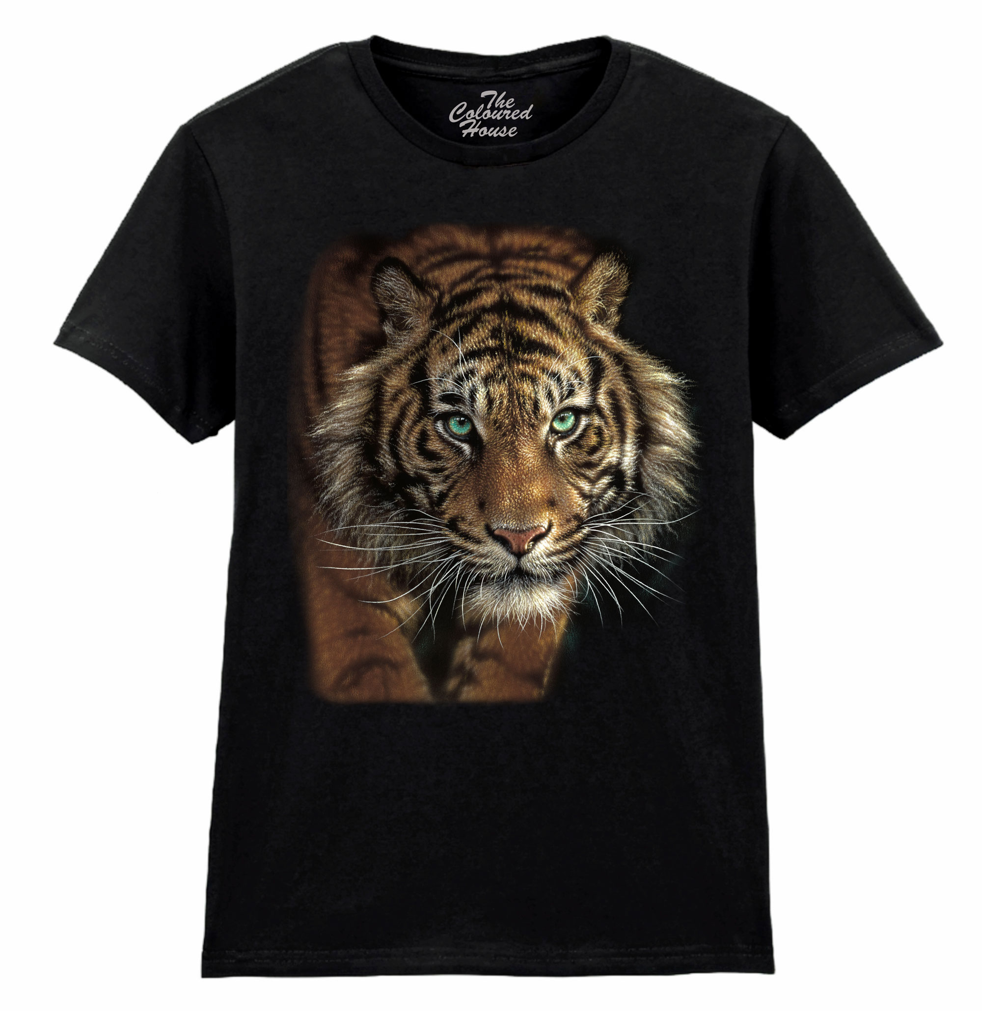 Eye Of The Tiger Ladies T-shirt