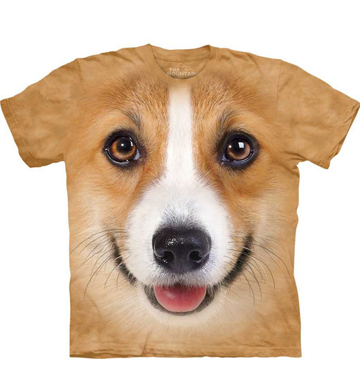 Corgi Face