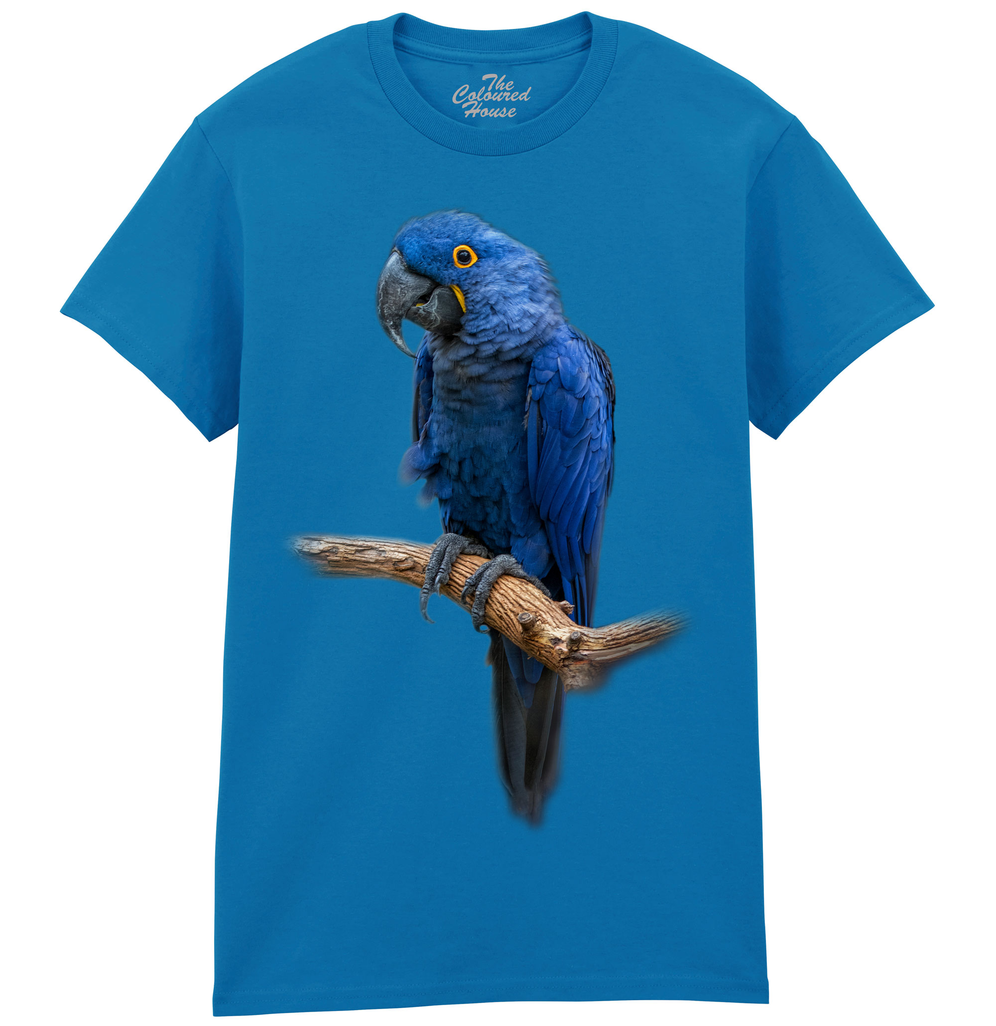 Blue Gem - Macaw