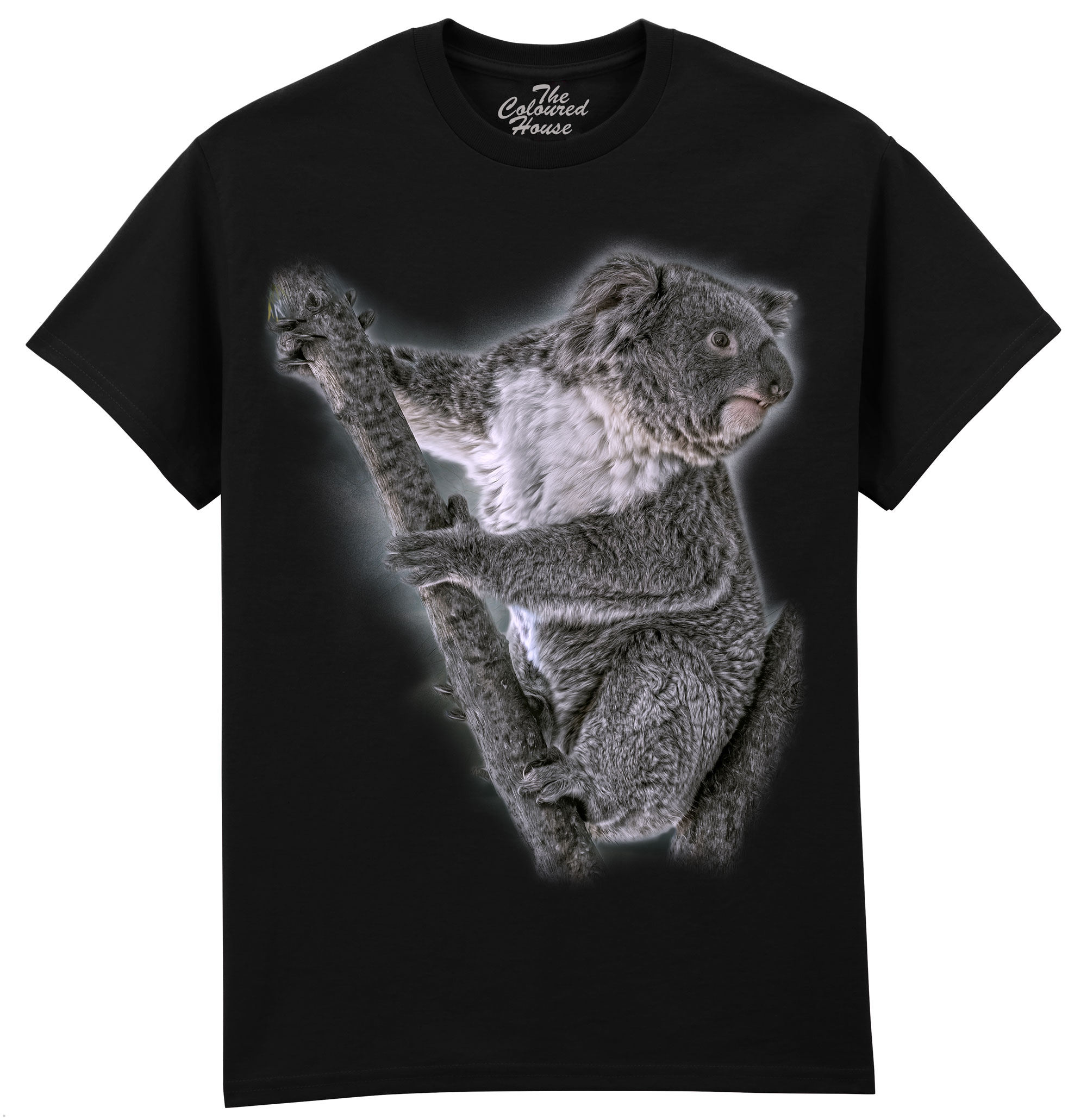 Eucalyptus Whisperer - Koala