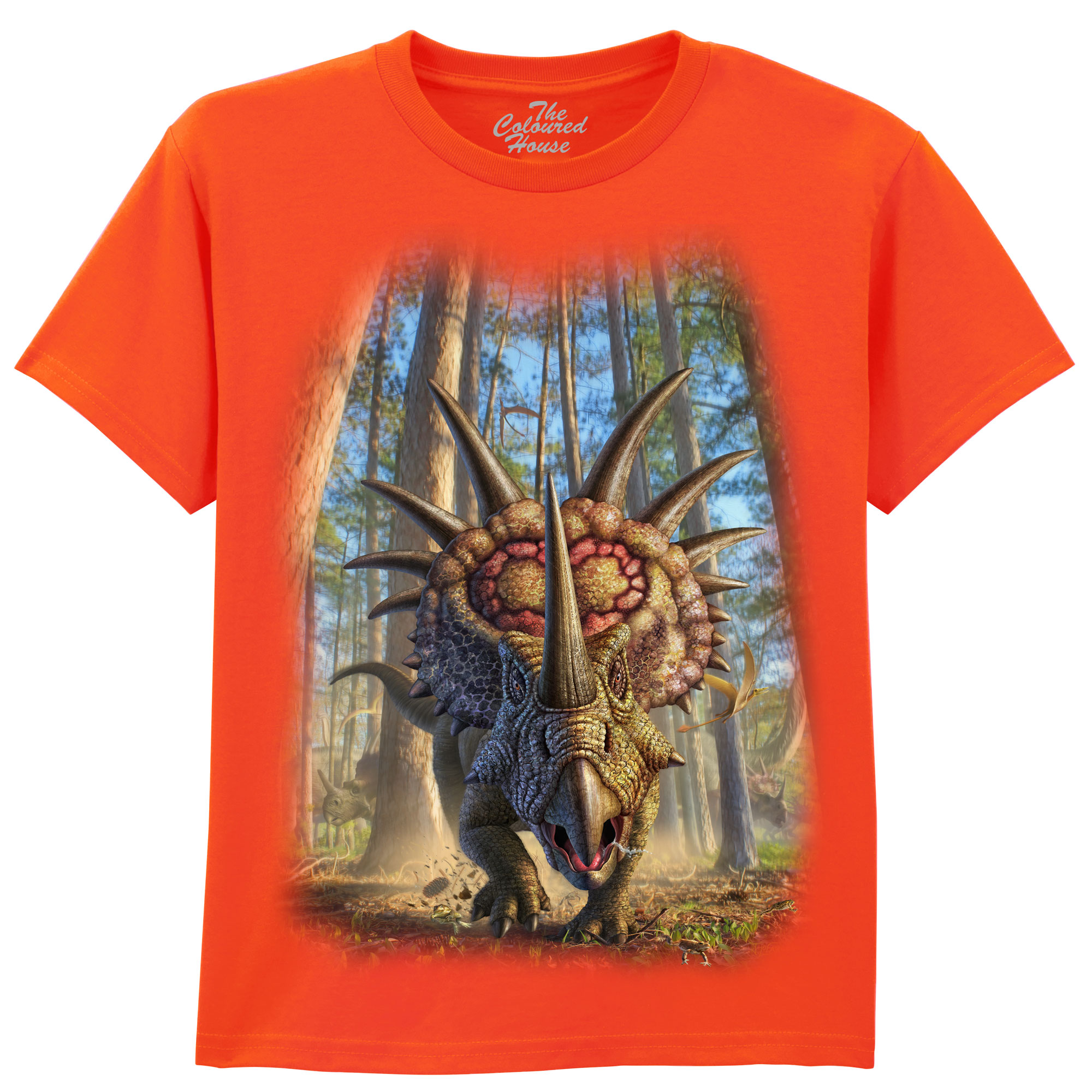 Styracosaur KIDS