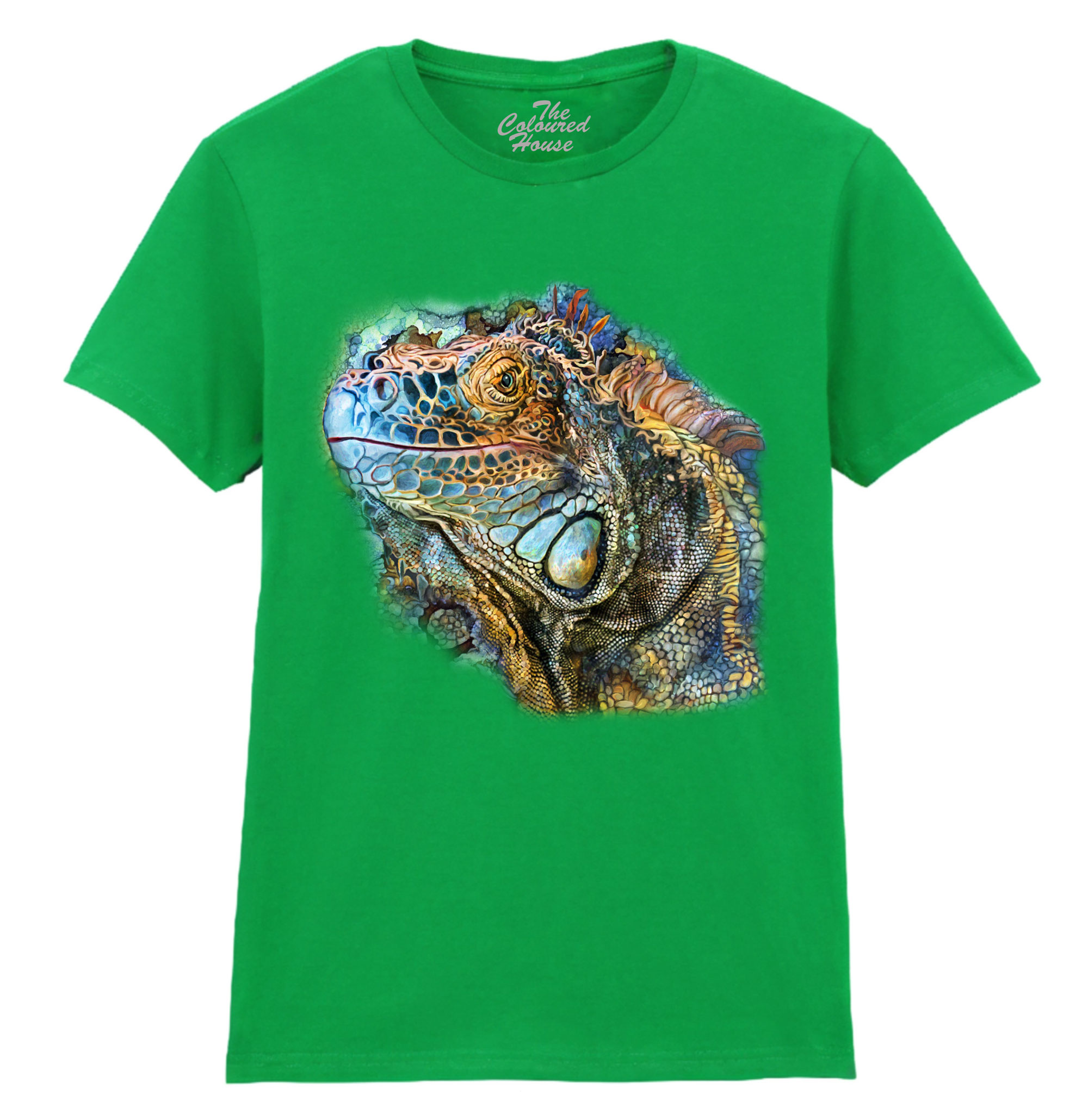 Iguana Spirit Of Contentment Ladies T-shirt