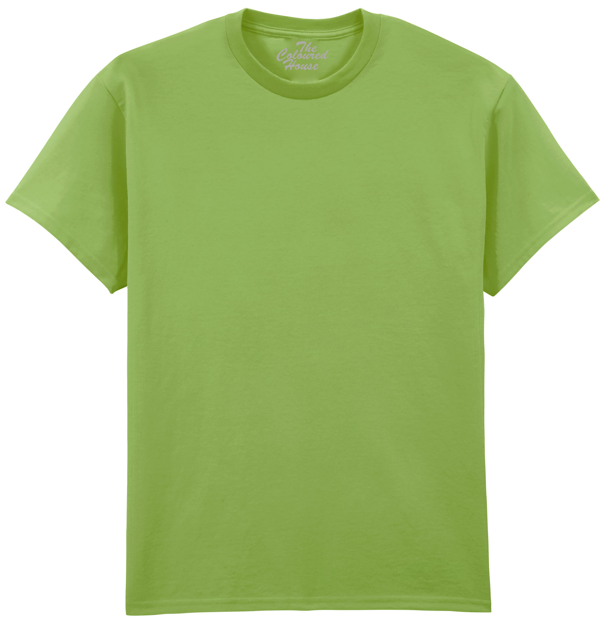 Adult T-shirt Kiwi