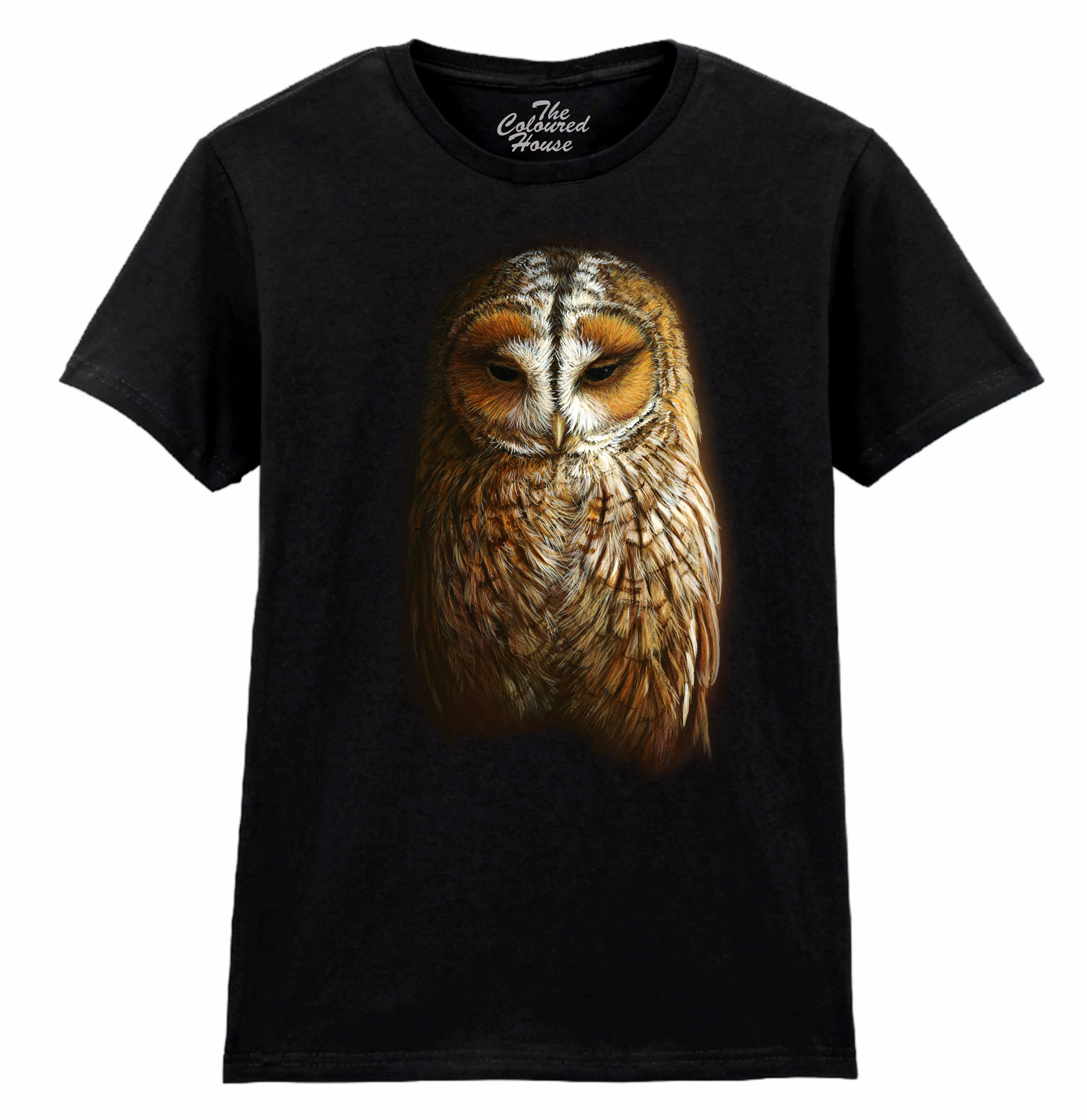 Tawny Owl Ladies T-shirt