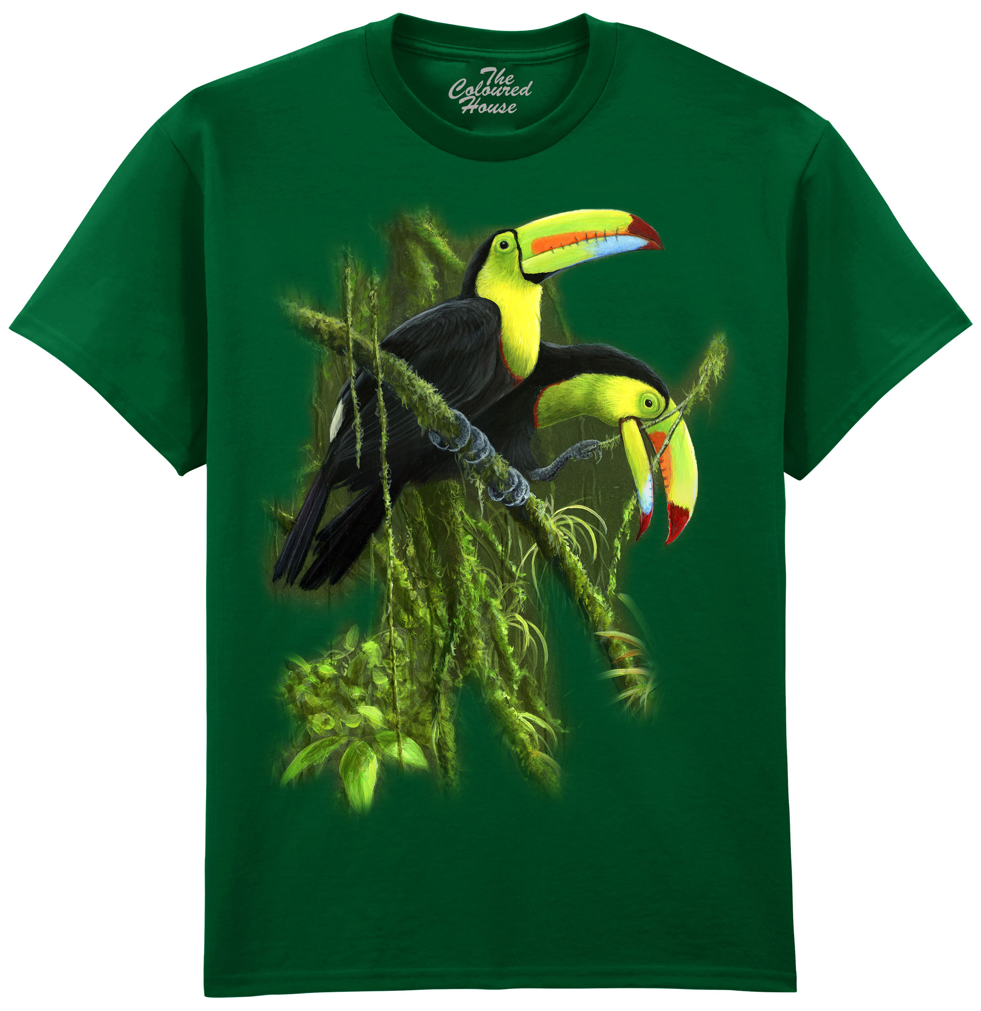 Keel Billed Toucans
