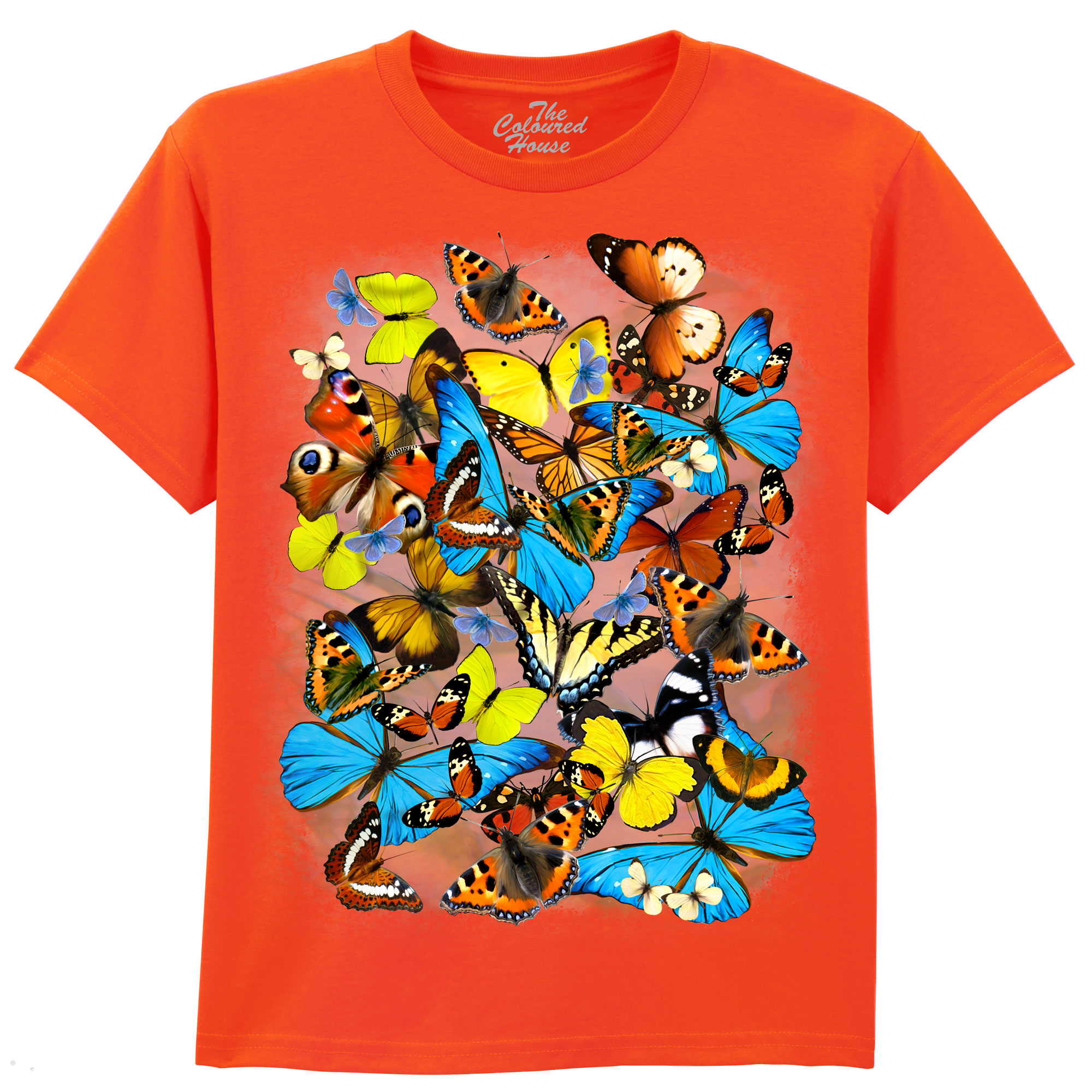 Butterflies KIDS
