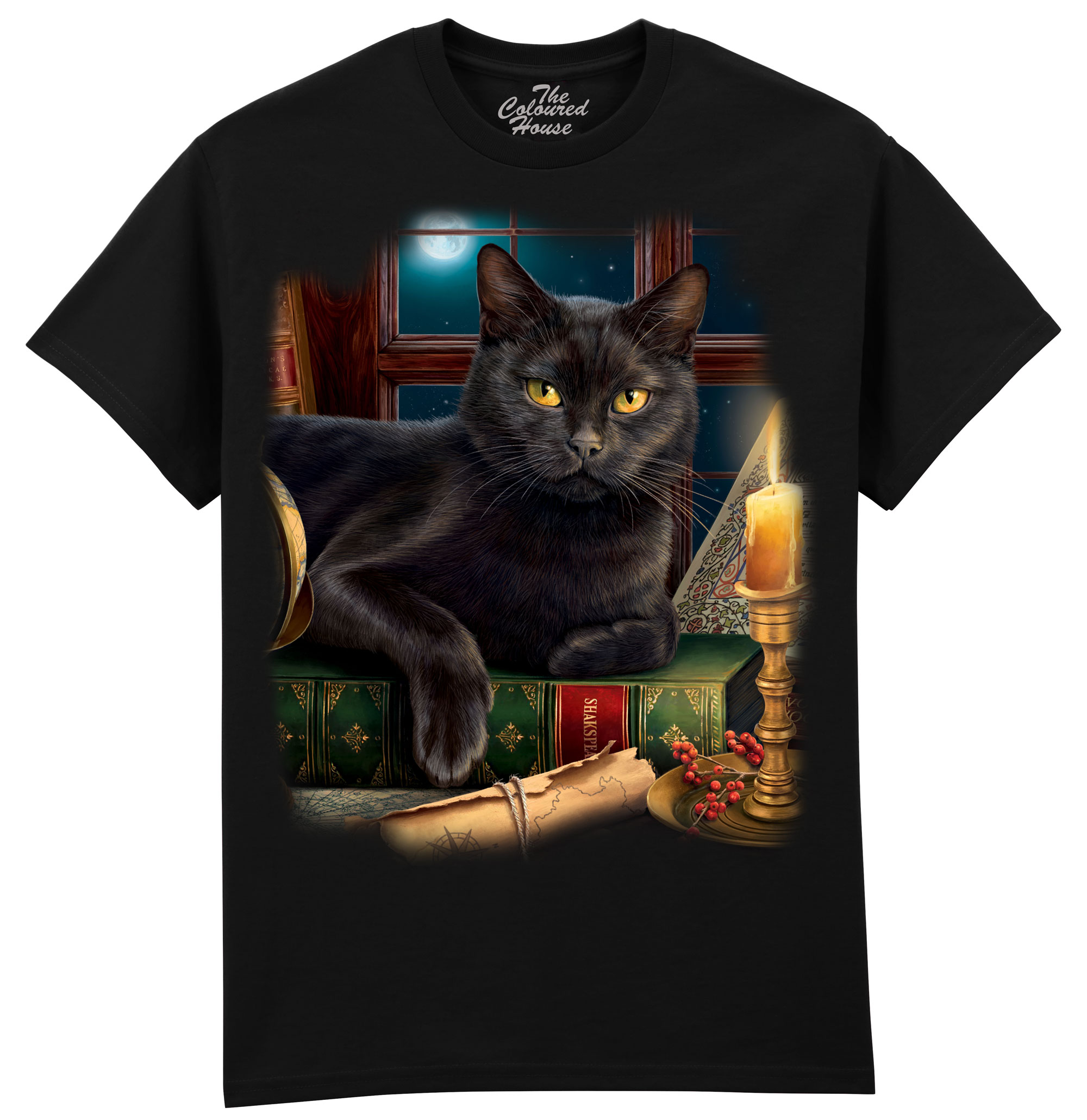 Black Cat By Candlelight