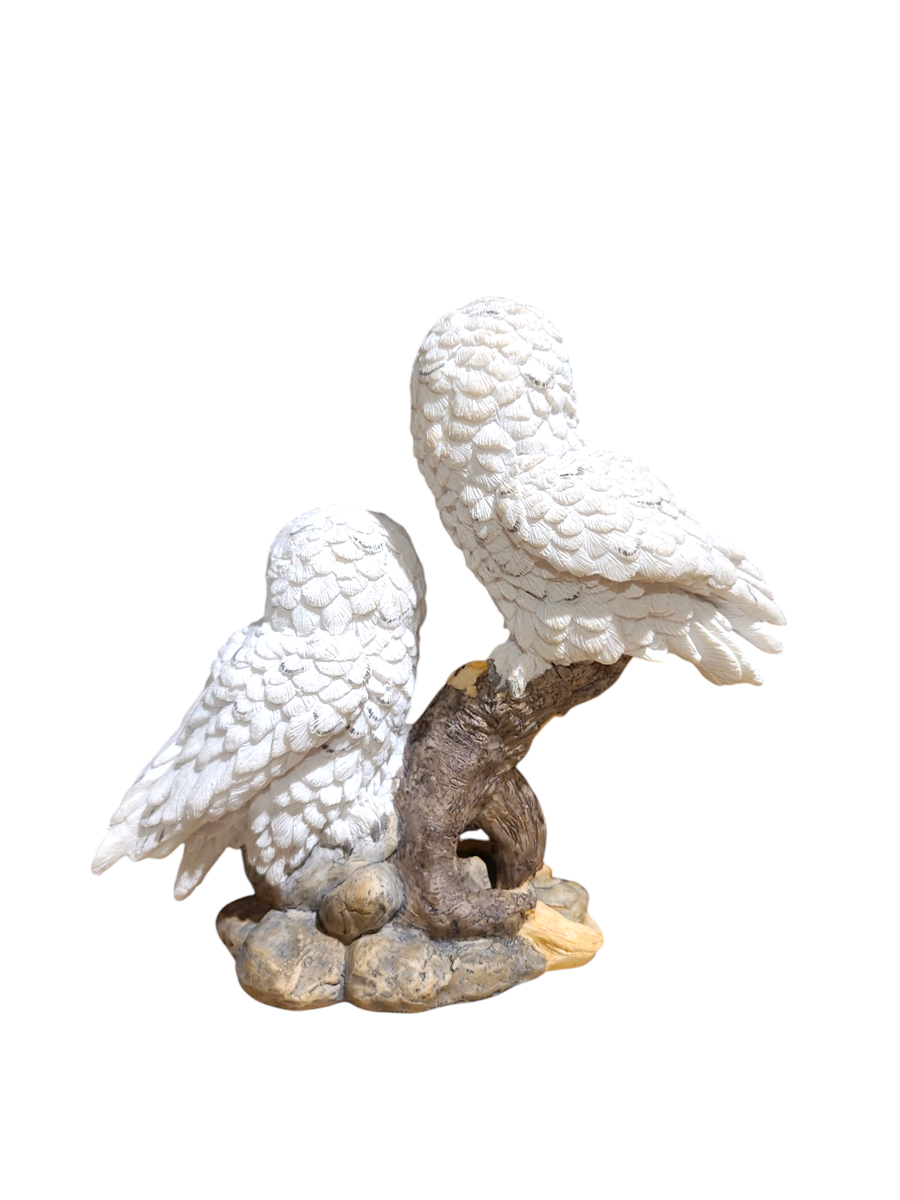 Small Pair Of Snowy Owls