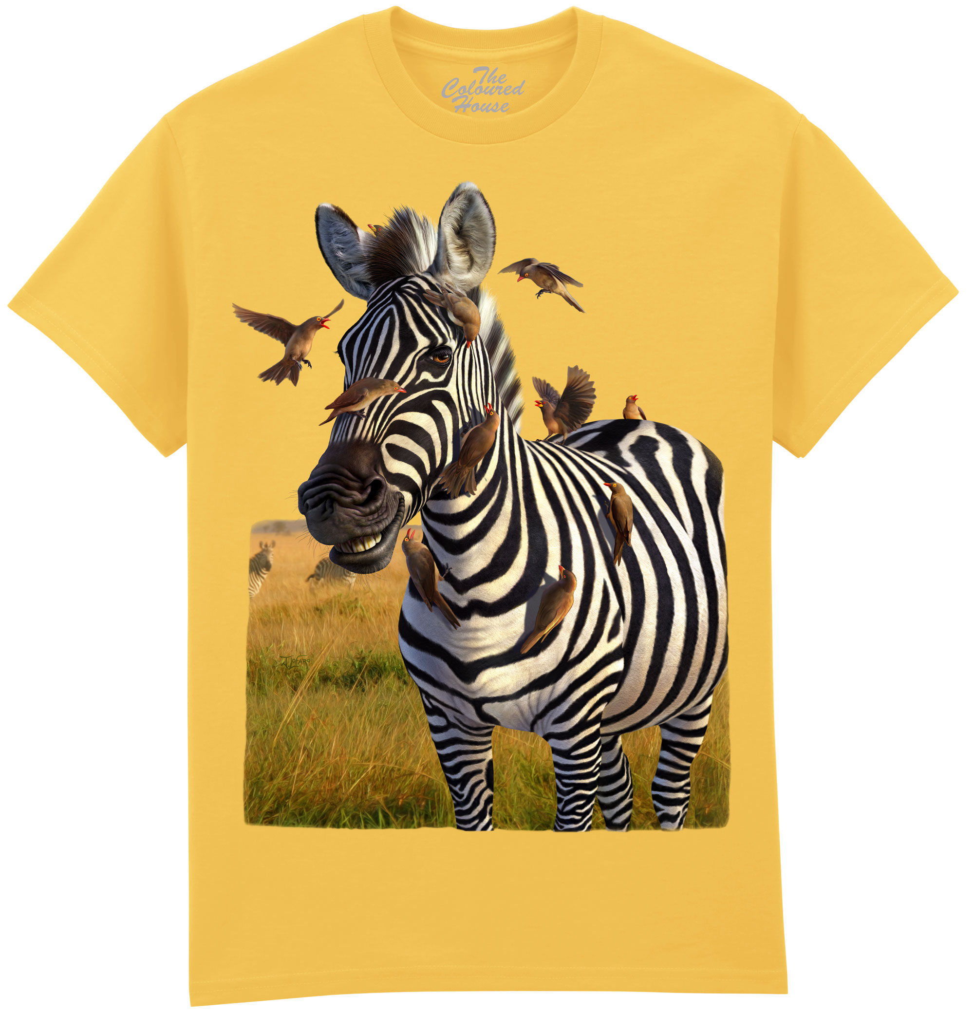 Jailbird - Zebra Jailbird - Zebra