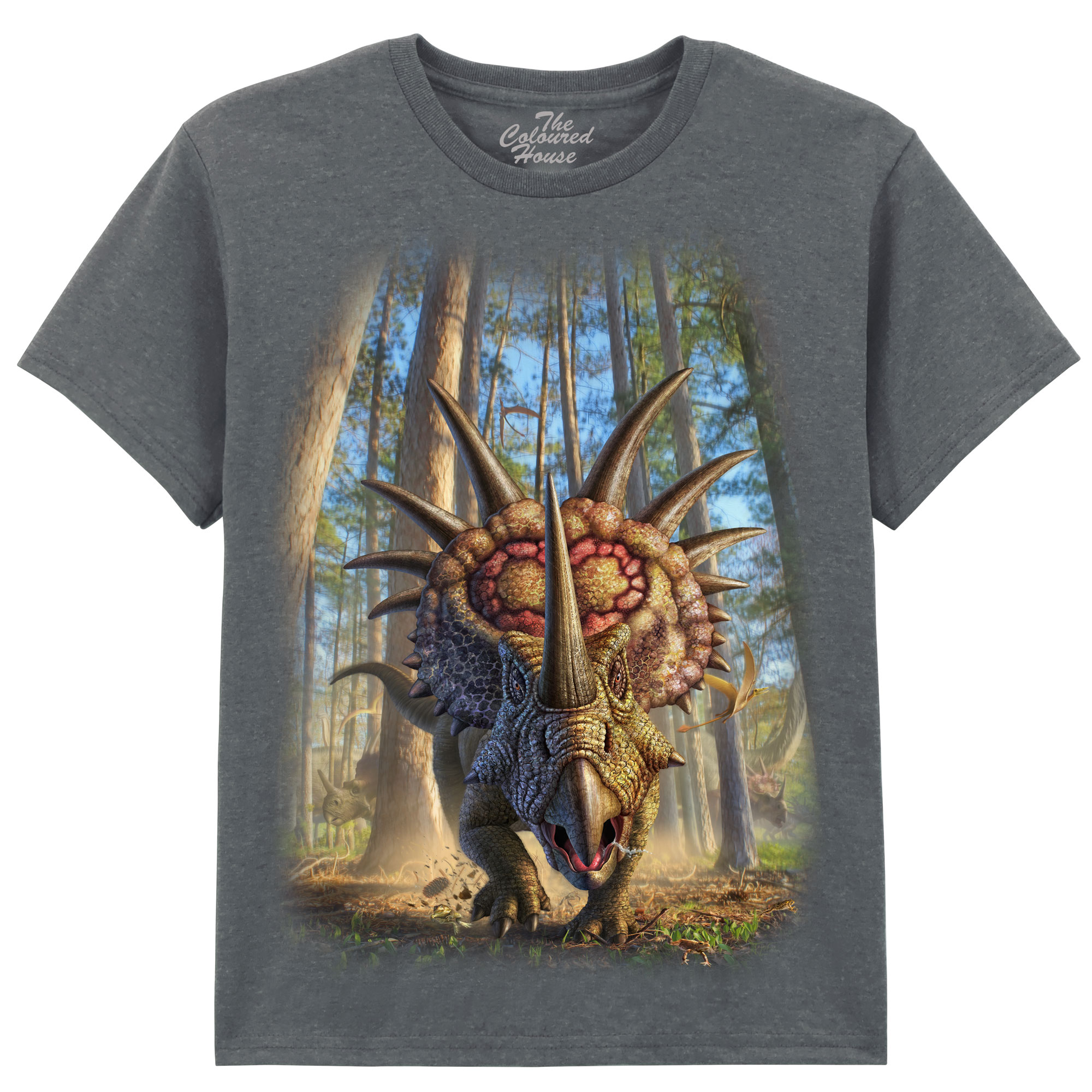Styracosaur KIDS