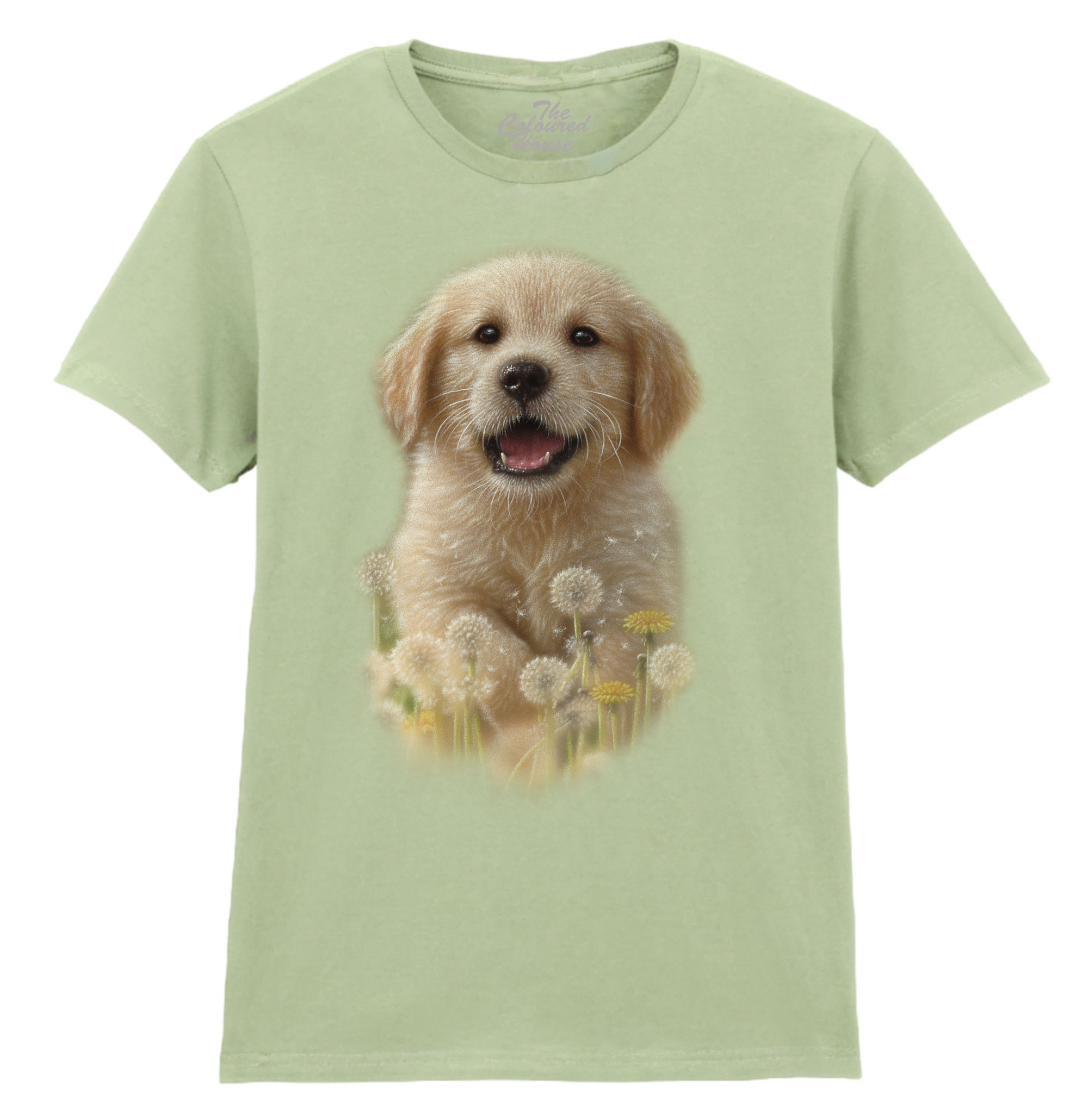 Dandelions - Golden Pup Ladies T-shirt