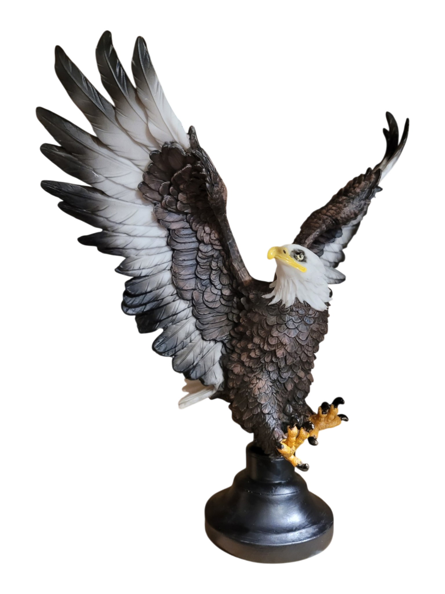 Flying Eagle